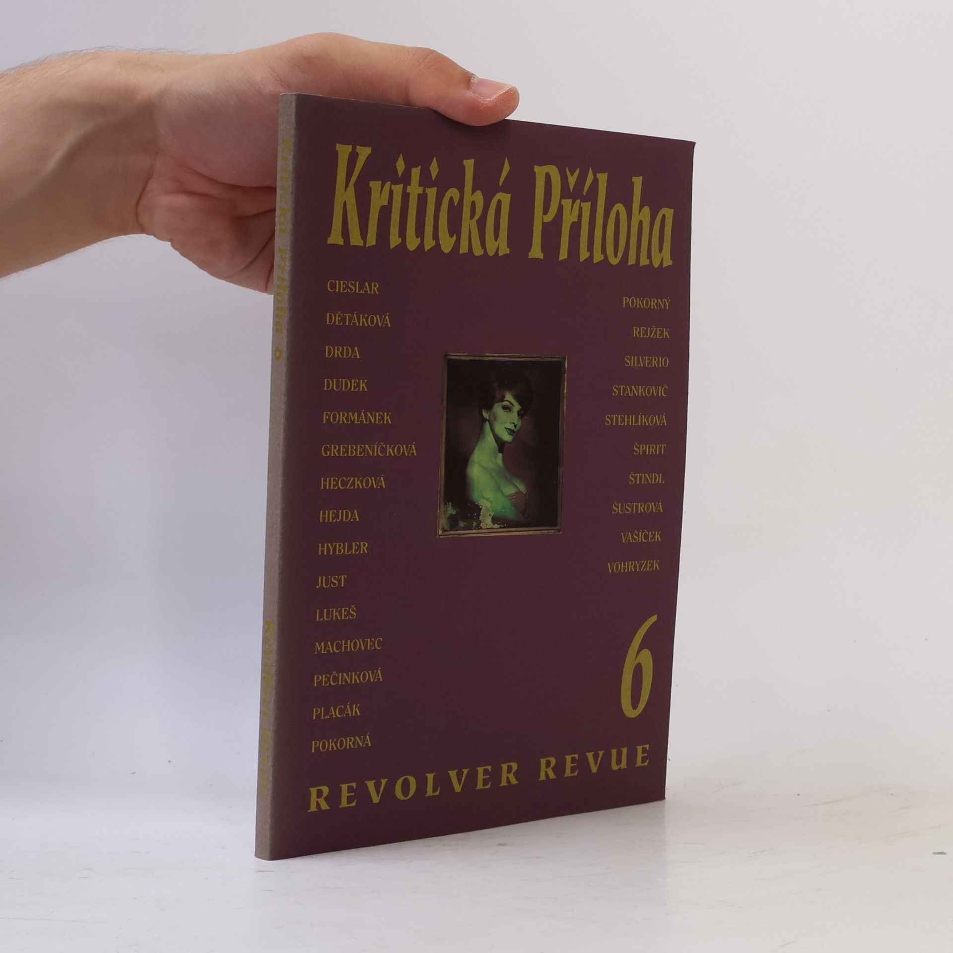 Autorenkollektiv Kritická příloha 6. Revolver revue
