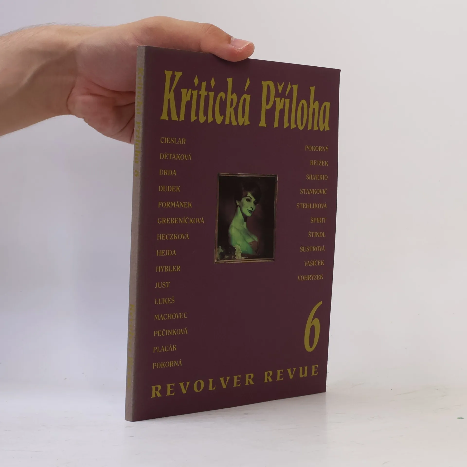 Kolektiv autorů Kritická příloha 6. Revolver revue