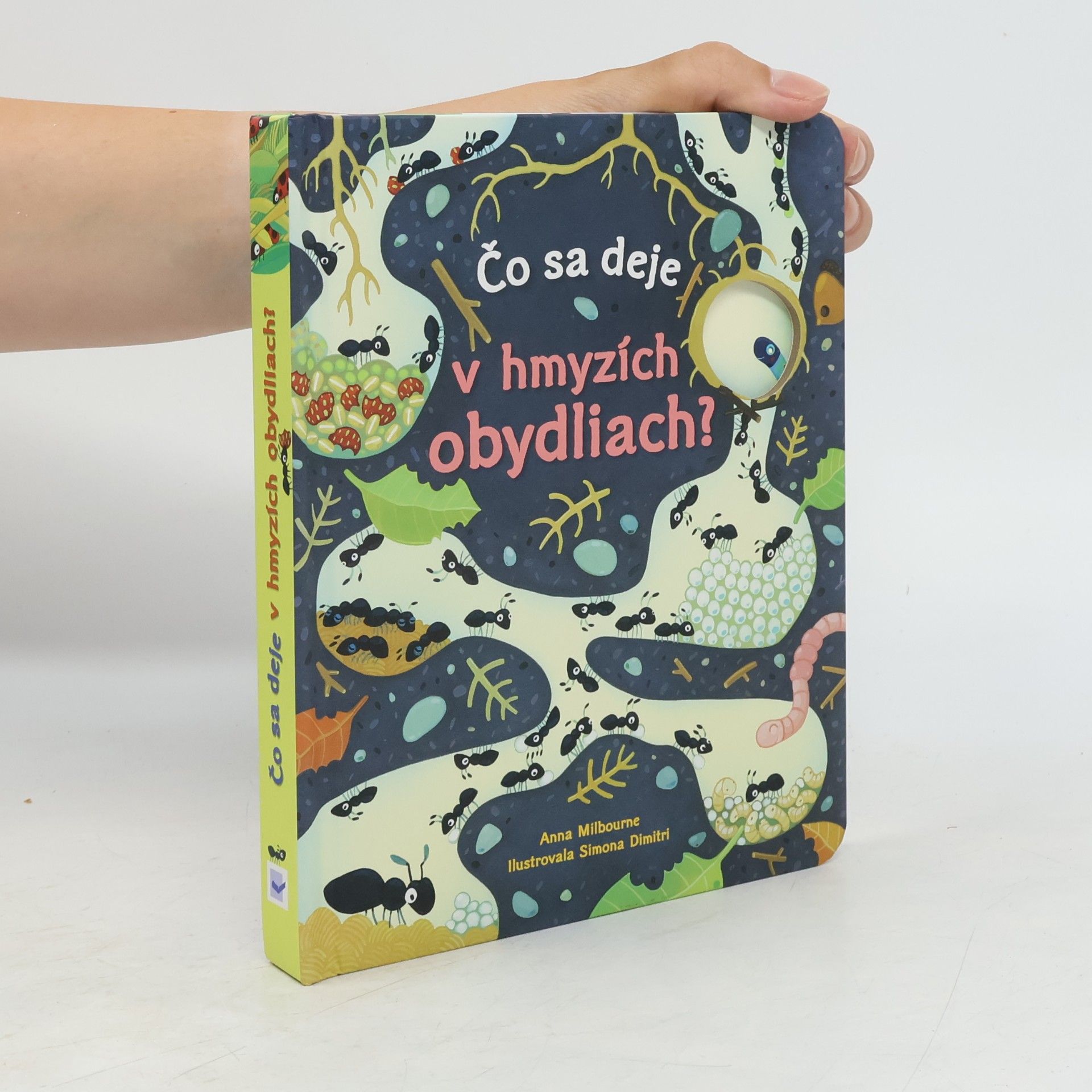 Anna Milbourne Čo sa deje v hmyzích obydliach?