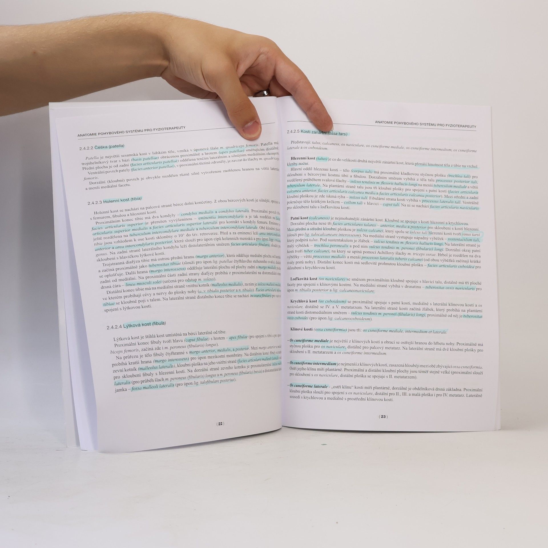 Ladislava Horáčková Anatomie pohybového systému pro fyzioterapeuty