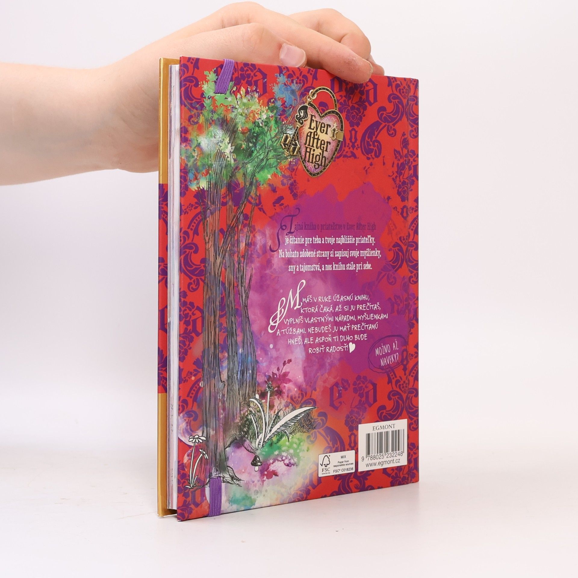 Collectif d'auteurs Ever After High Tajná kniha o priatežstve