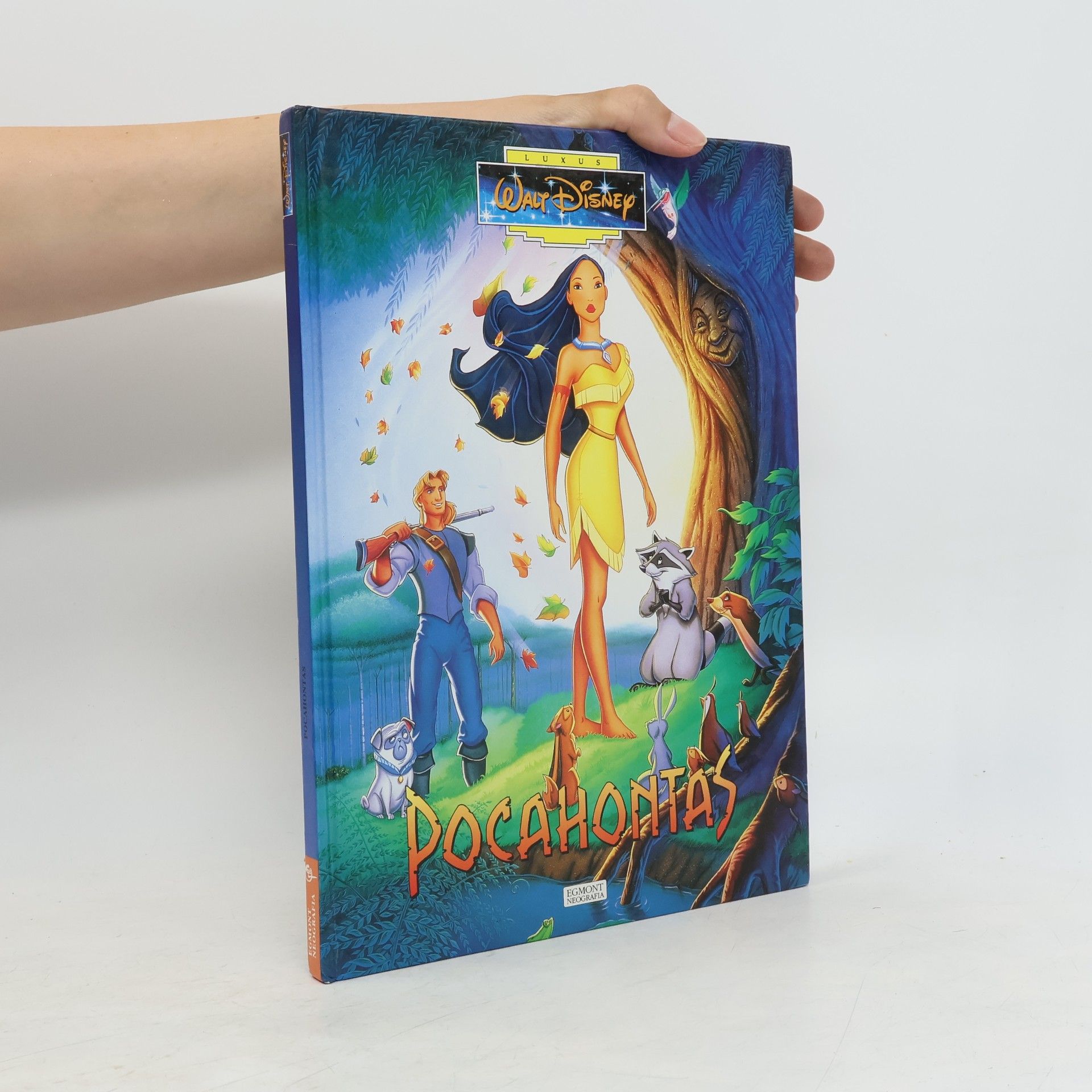 Walt Disney Pocahontas