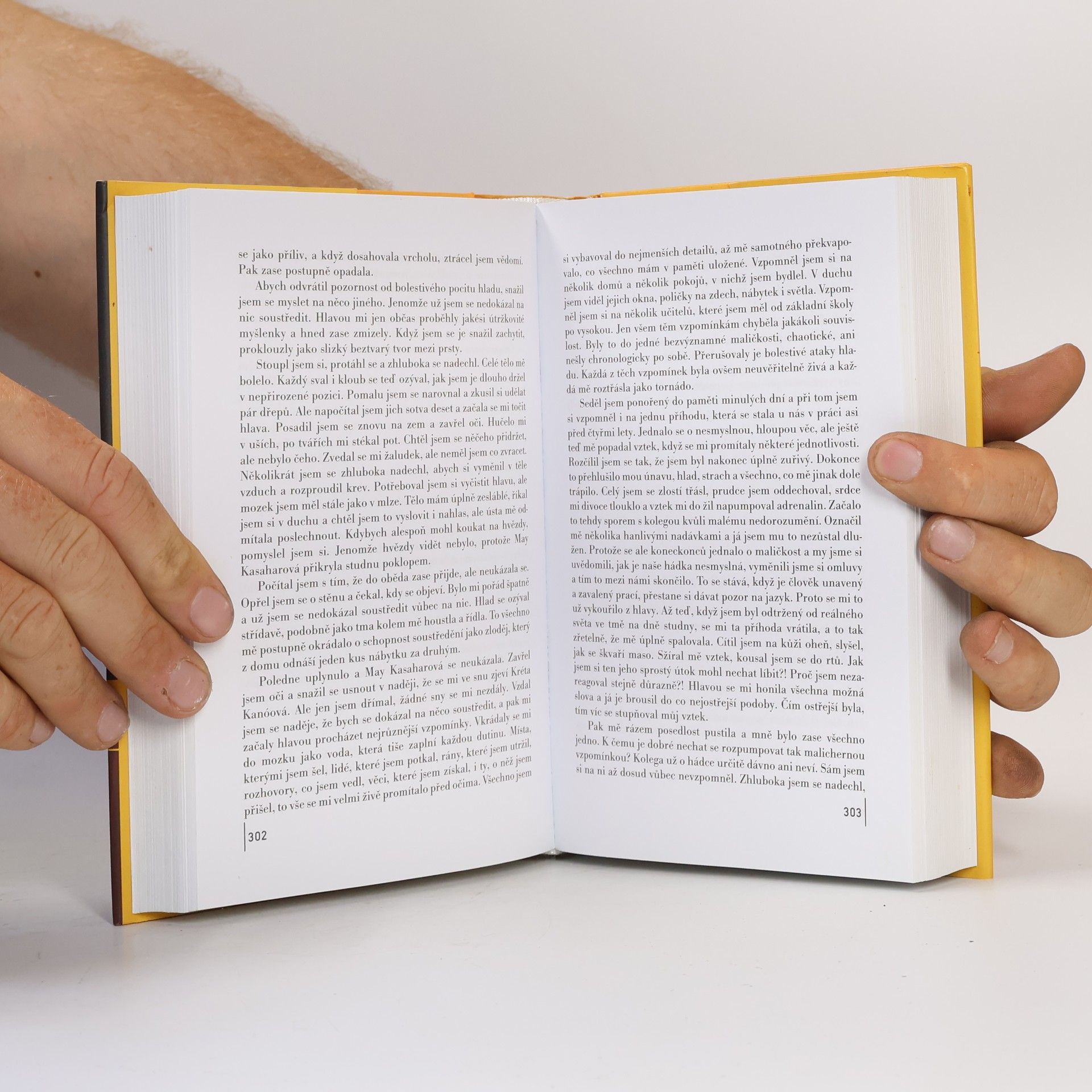 Haruki Murakami Kronika ptáčka na klíček