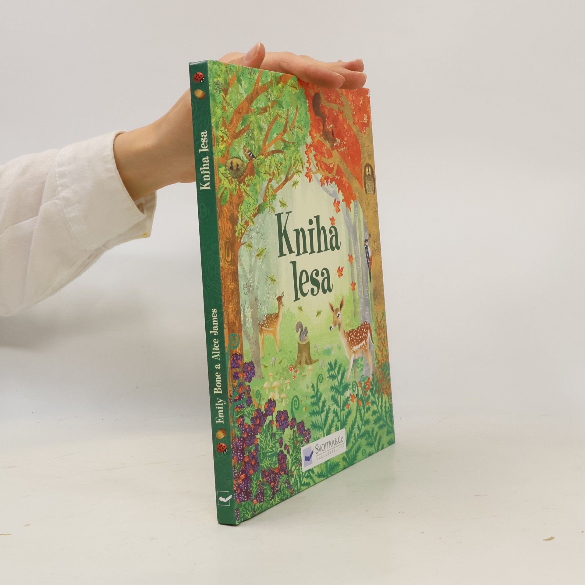 Kolektiv autorů Kniha lesa
