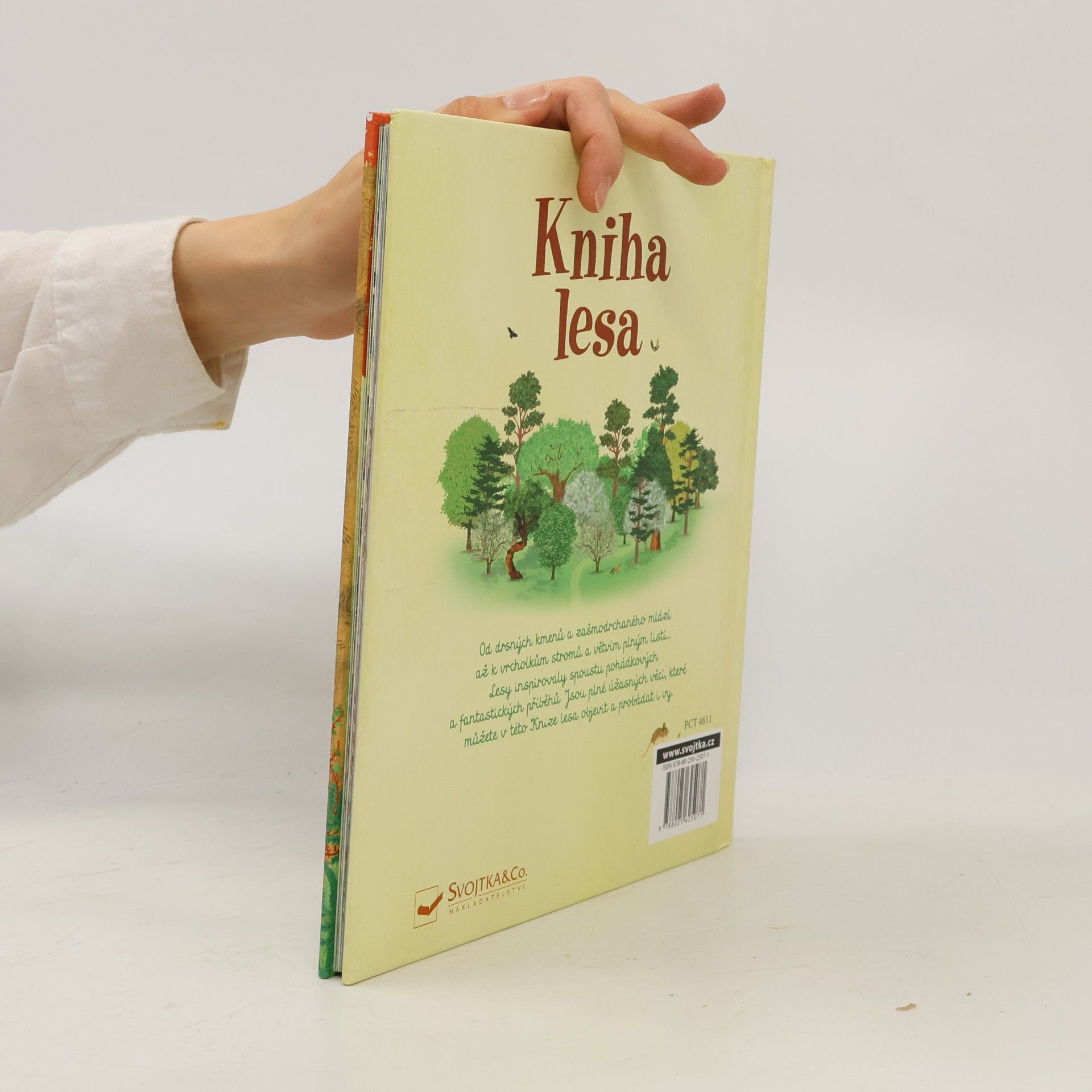 Kolektiv autorů Kniha lesa