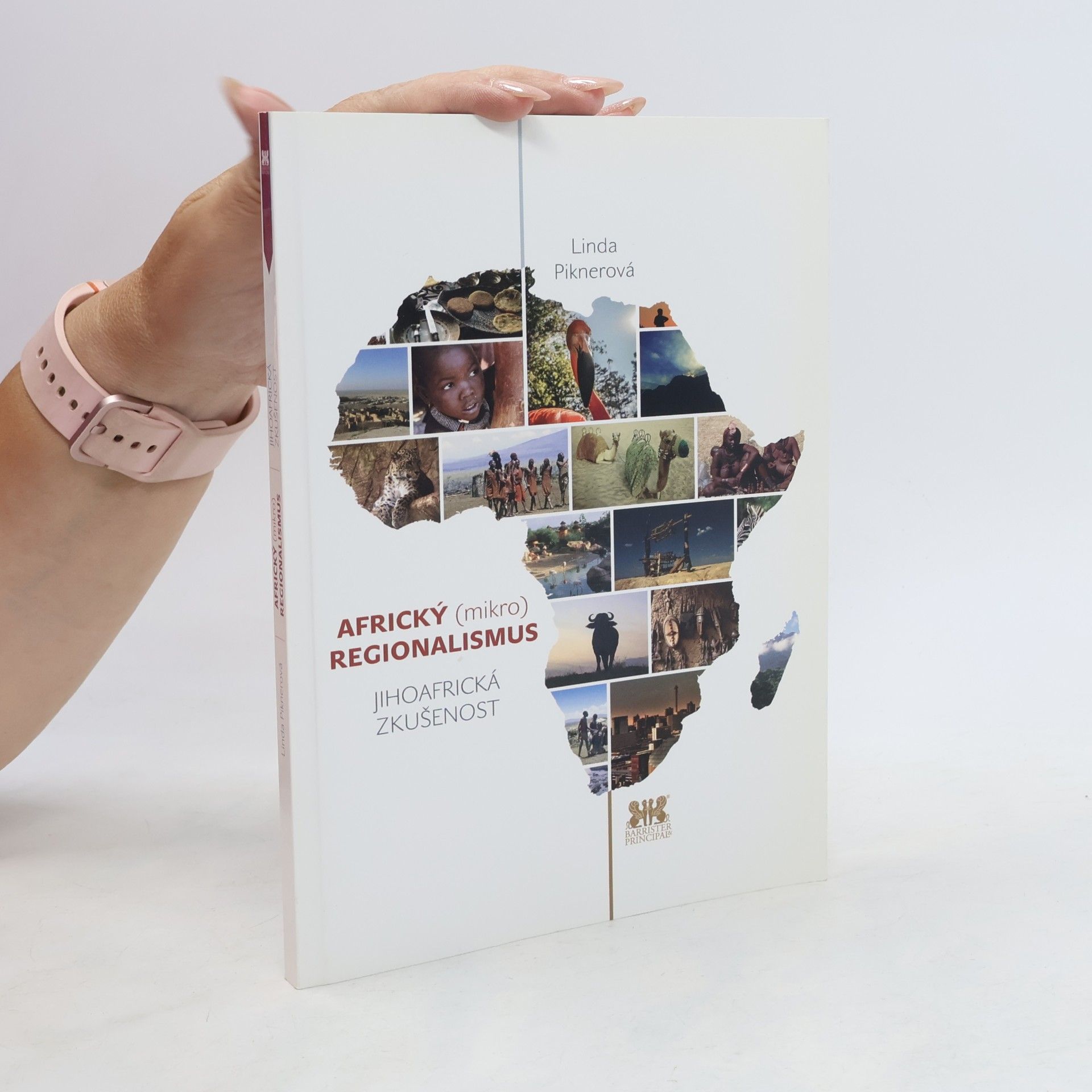 Linda Piknerová Africký (mikro) regionalismus