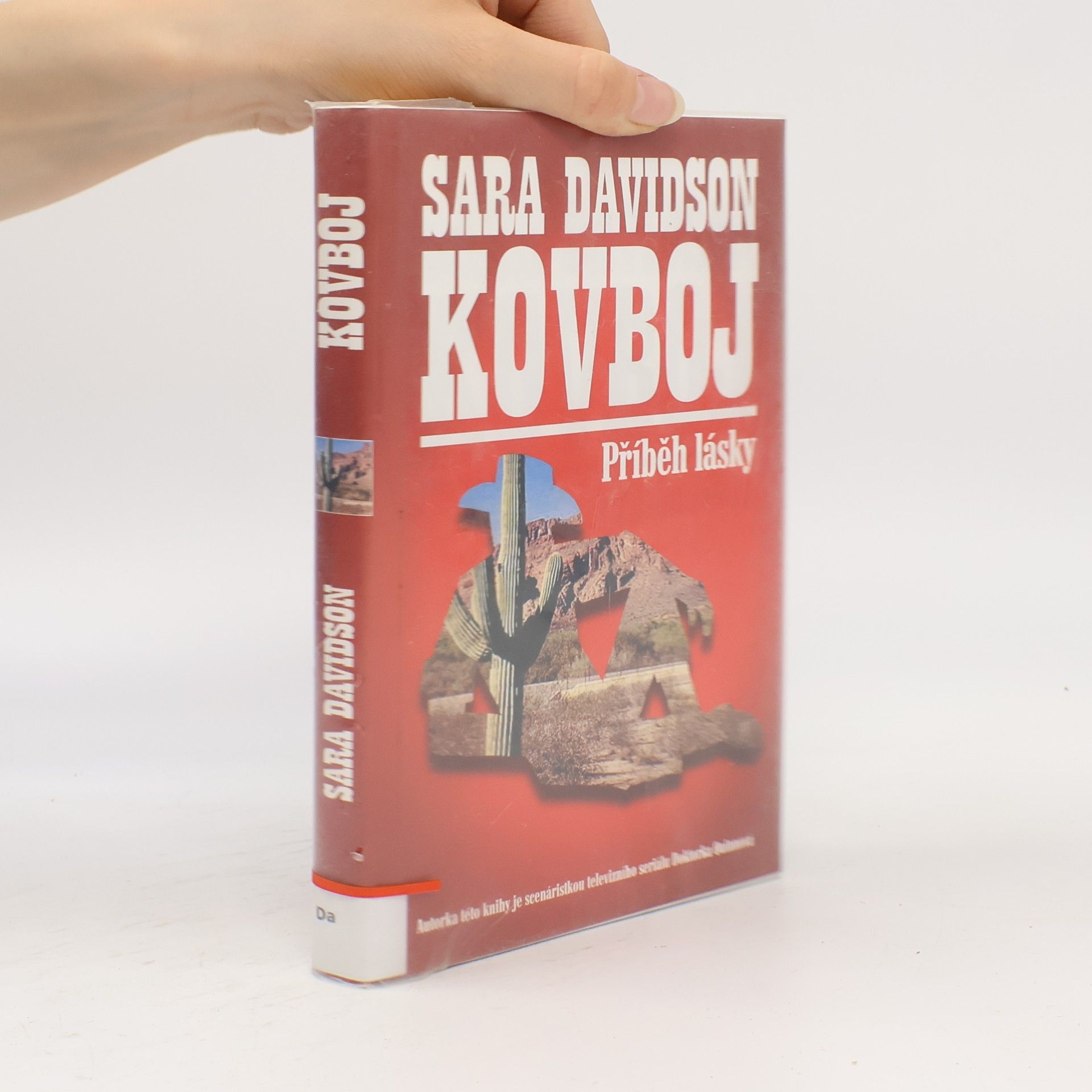 Sara Davidson Kovboj: Příběh lásky