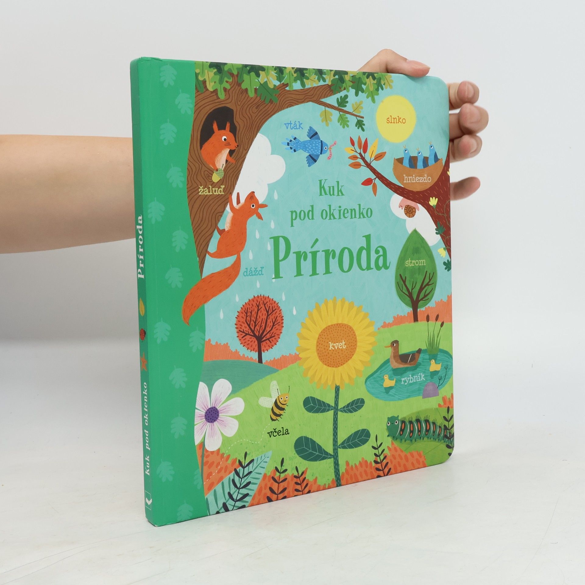 Jessica Greenwell Kuk pod okienko Príroda