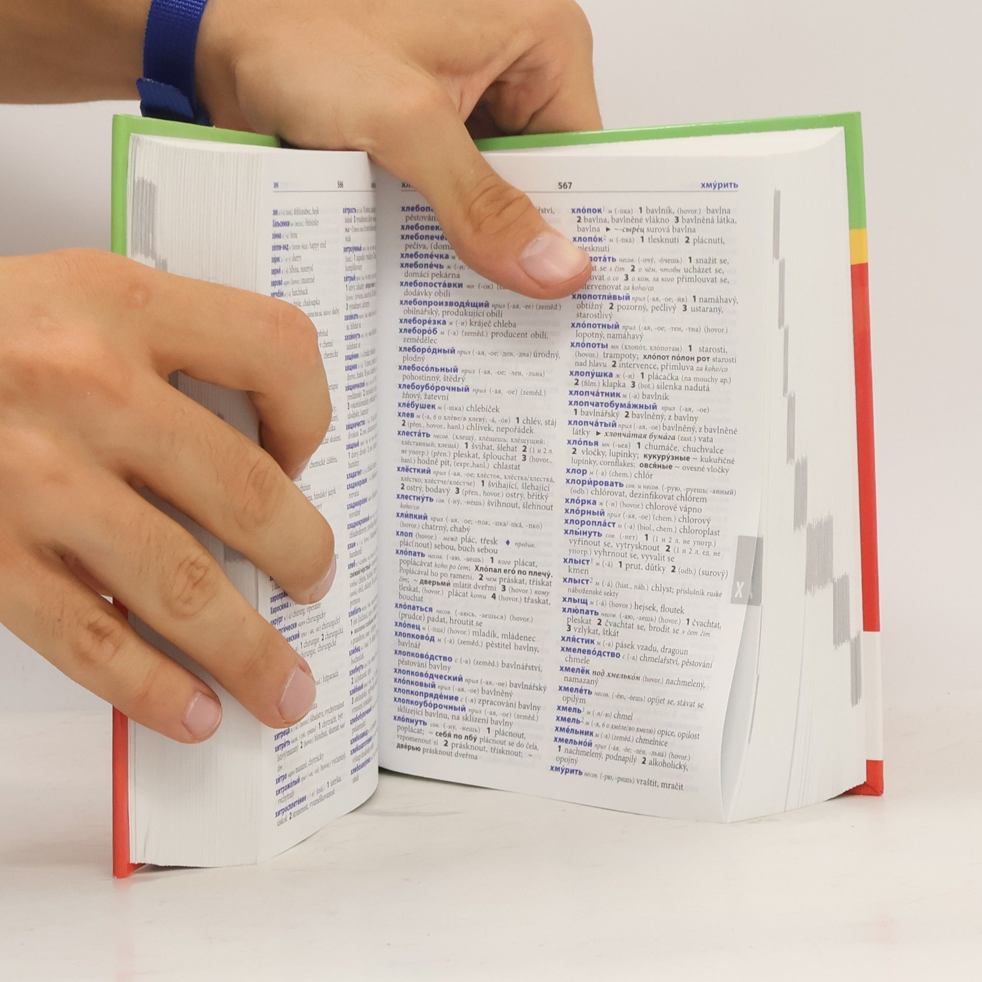 firma Lingea Rusko-český, česko-ruský praktický slovník