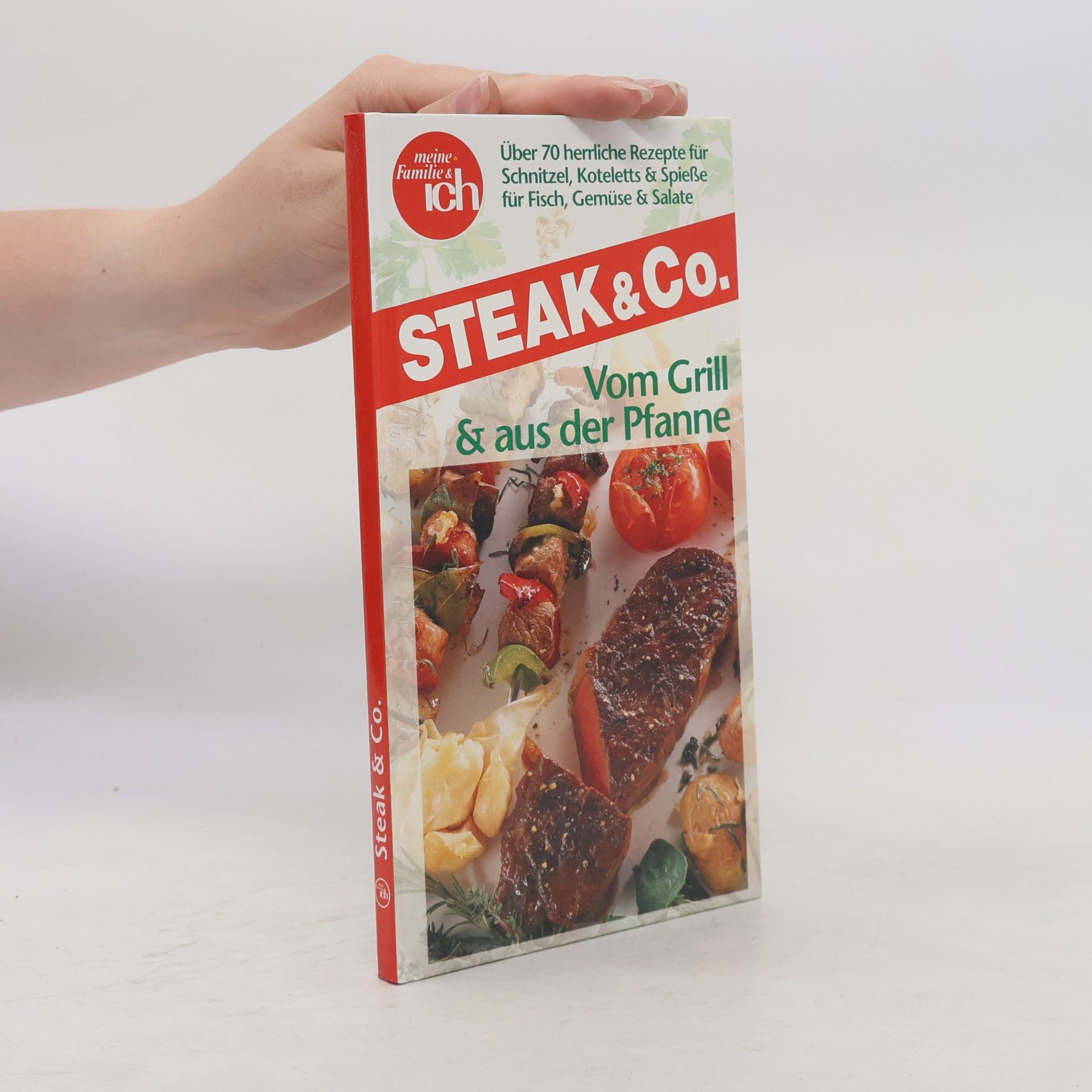 Autorenkollektiv STEAK & Co. Vom Grill & aus der Pfanne