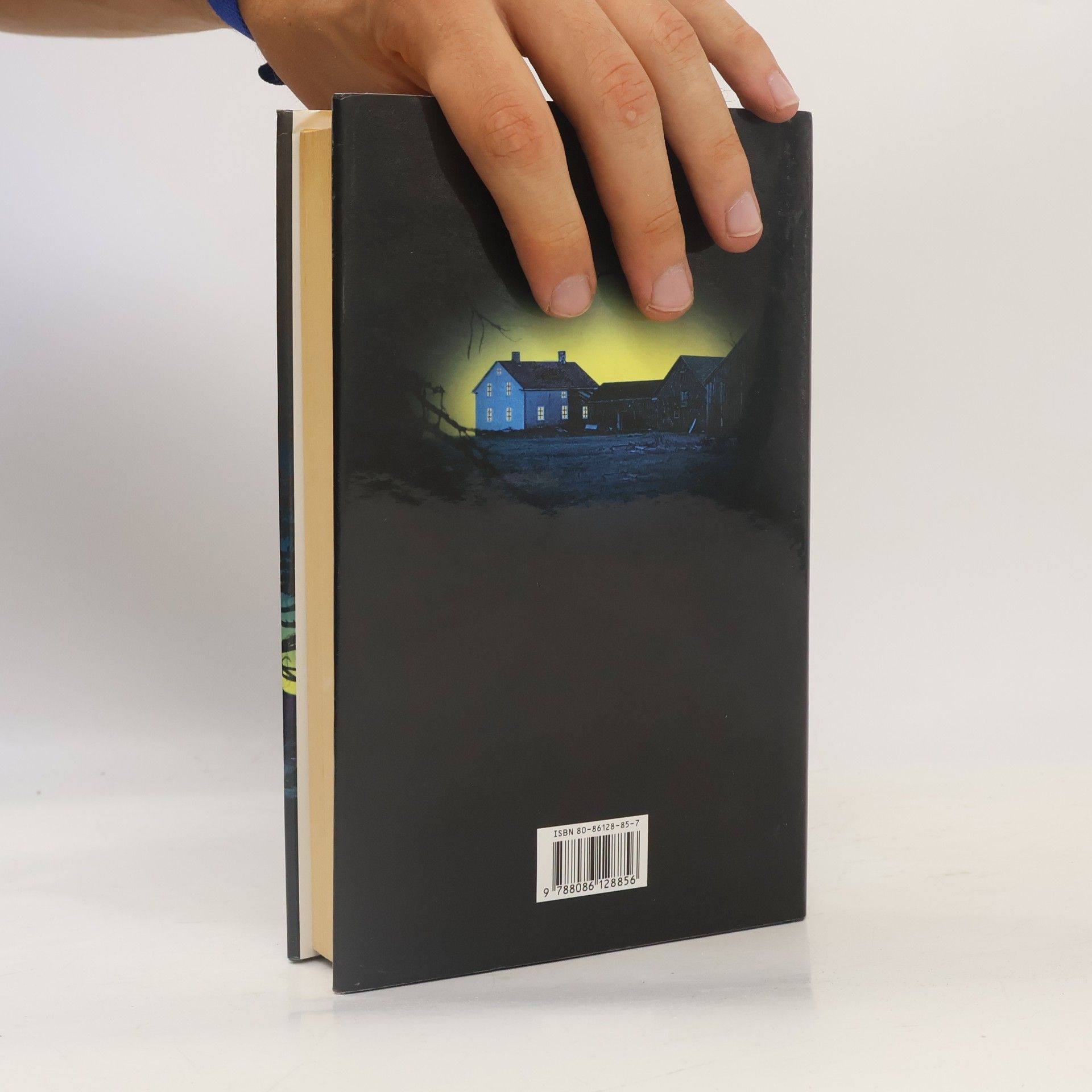 Jeffery Deaver Dívčí hrob