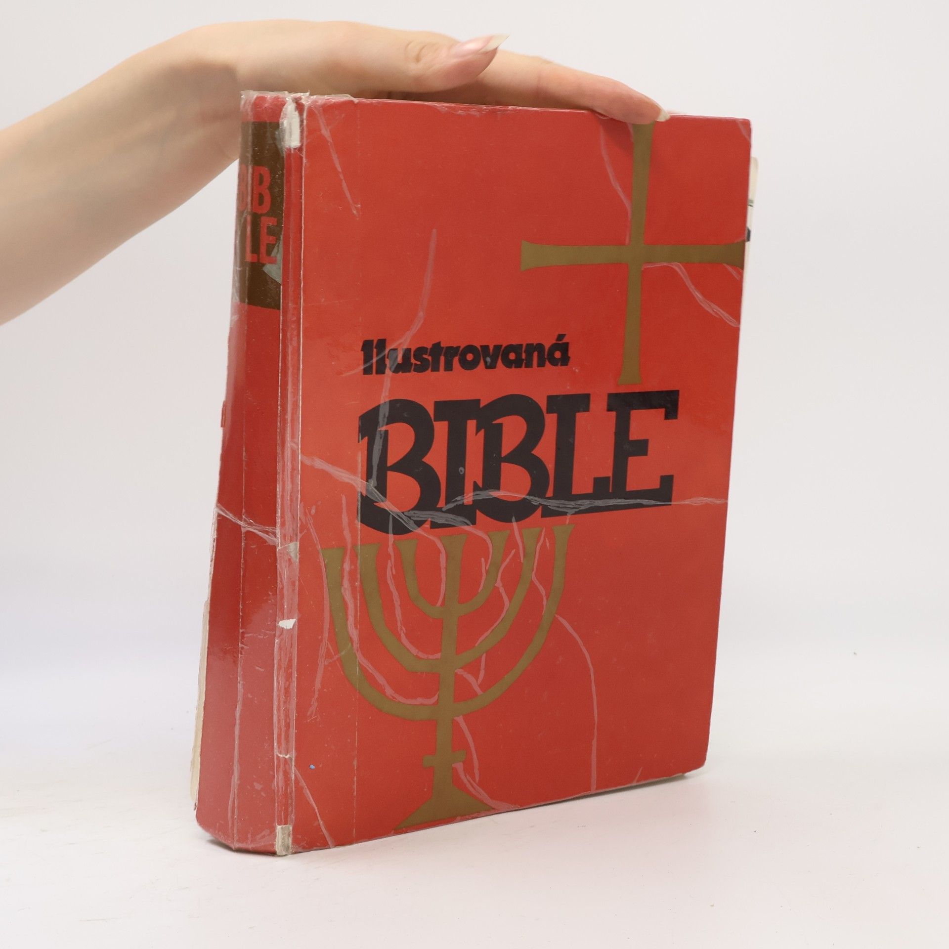 Samuel Terrien Ilustrovaná Bible pro mládež