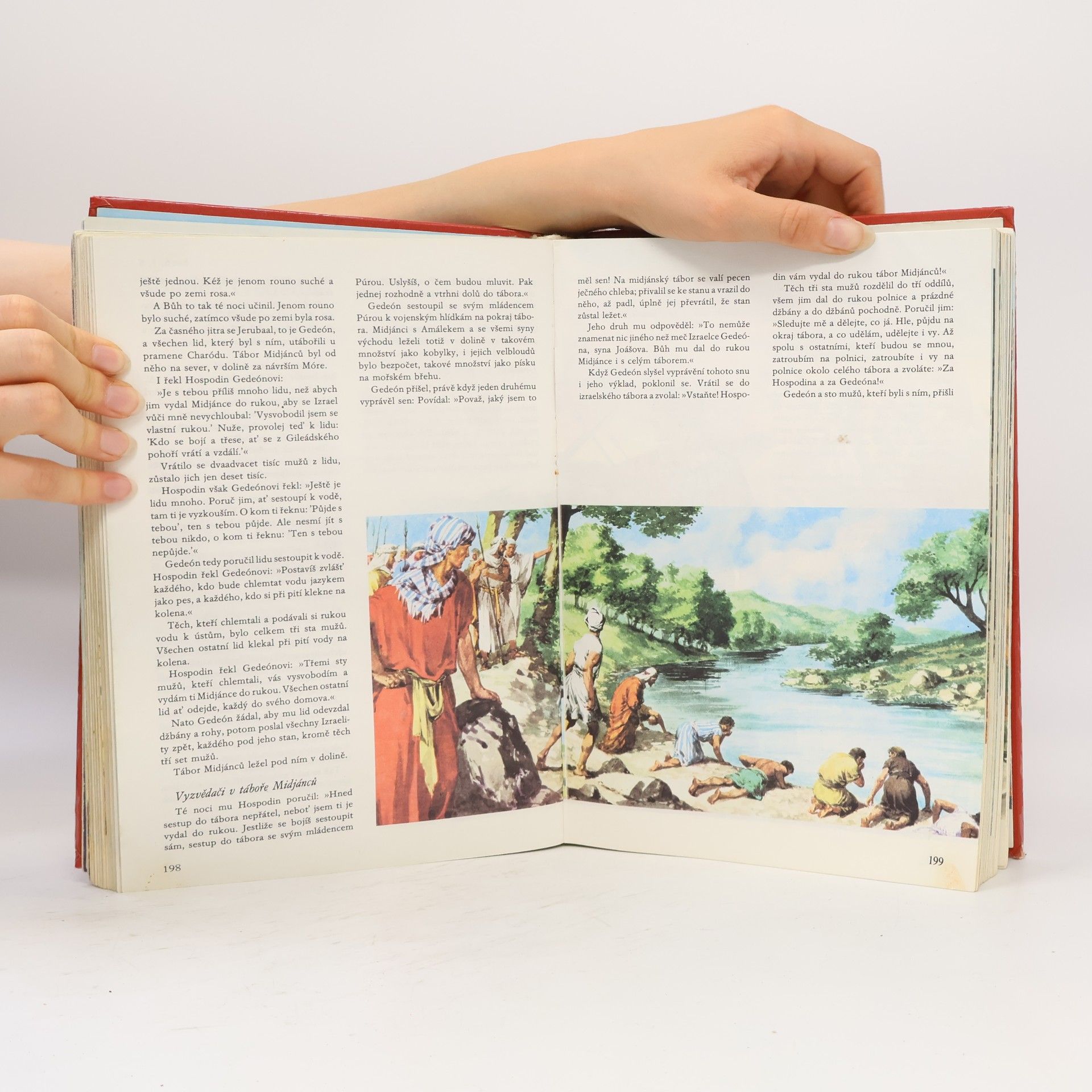 Samuel Terrien Ilustrovaná Bible pro mládež