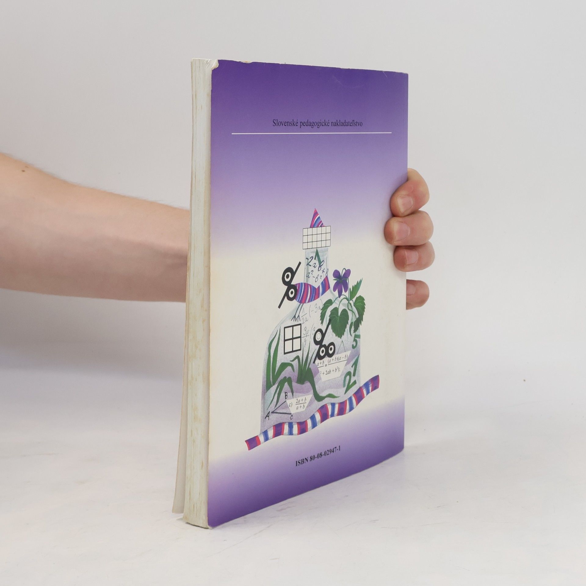 Autorenkollektiv Matematika pre 9. ročník základných škol
