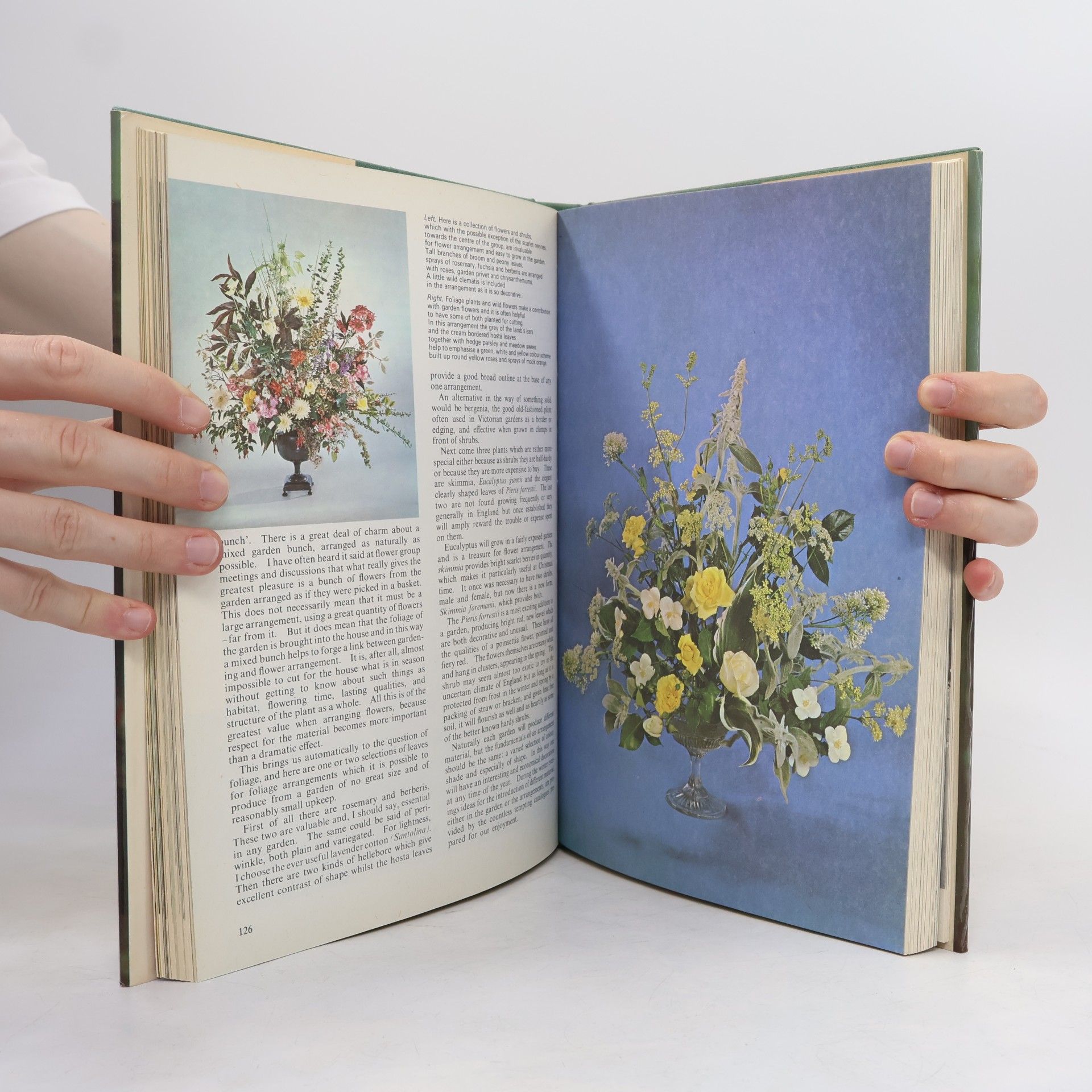 Betty Massingham Flower Arranging in Colour