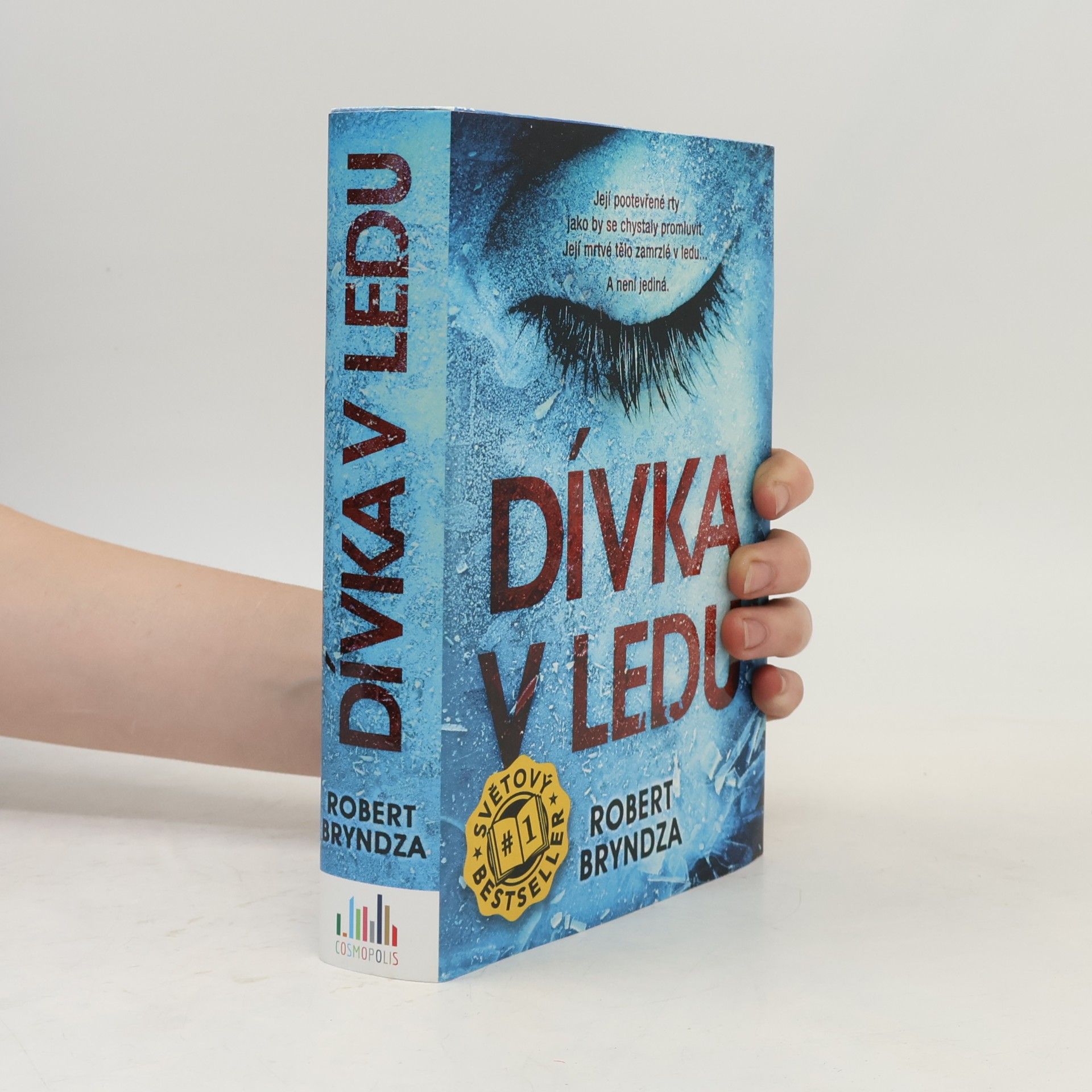 Robert Bryndza Dívka v ledu