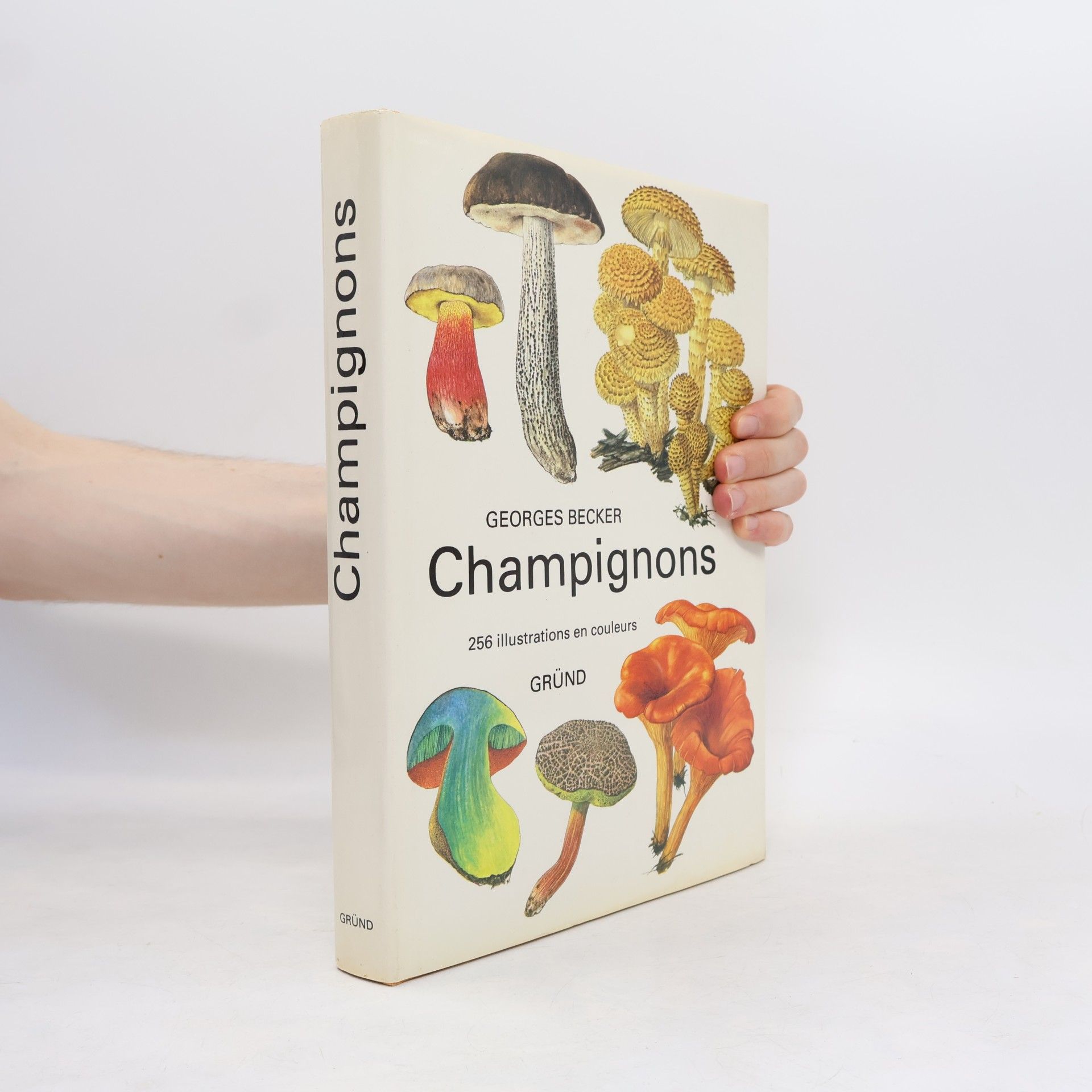Georges Becker Champignons