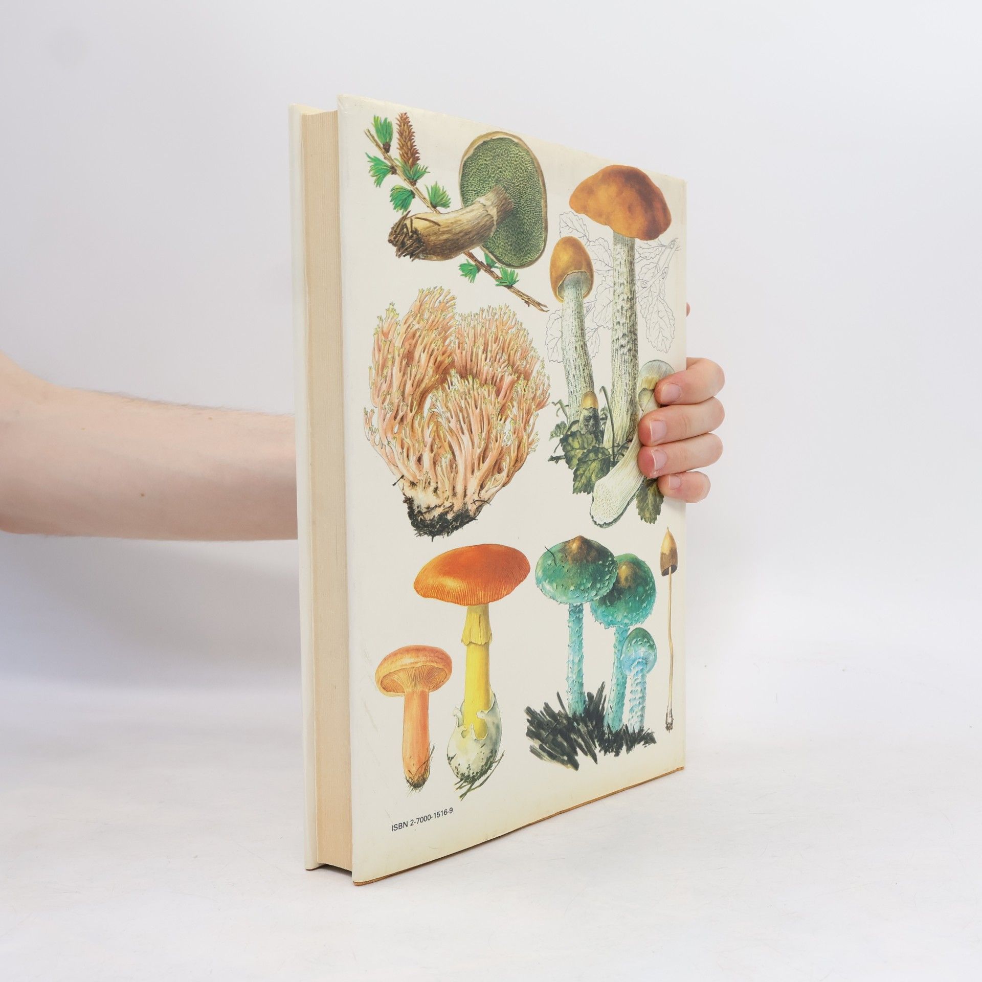 Georges Becker Champignons