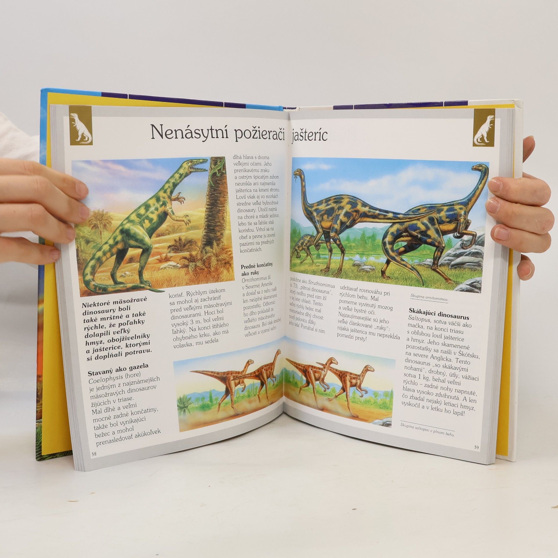 Laure Cambournac Dinosaury a vyhynuté zvieratá