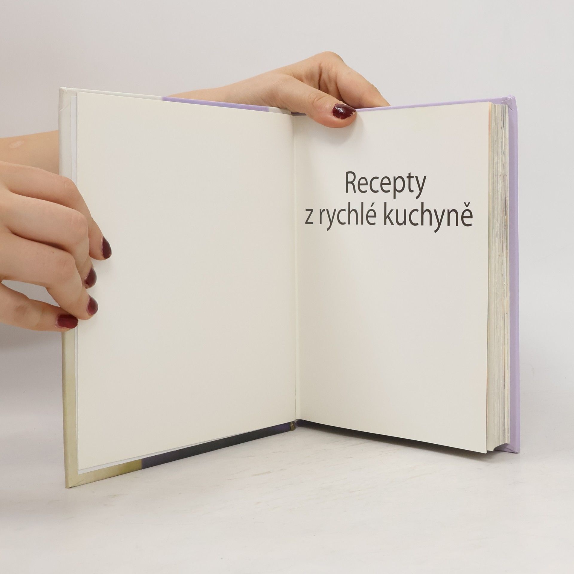 Jan Šindelka Recepty z rychlé kuchyně