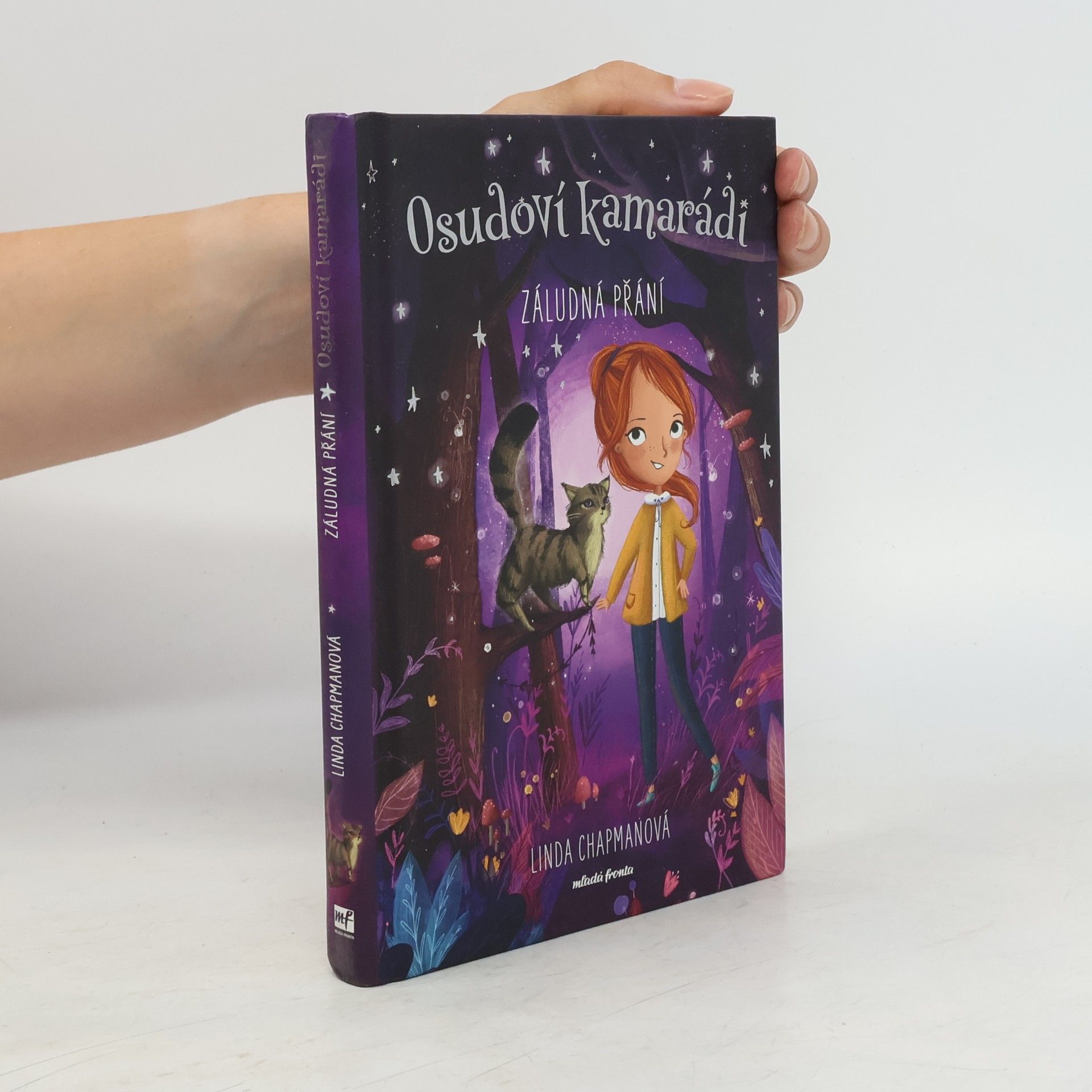 Linda Chapman Osudoví kamarádi - Záludná přání