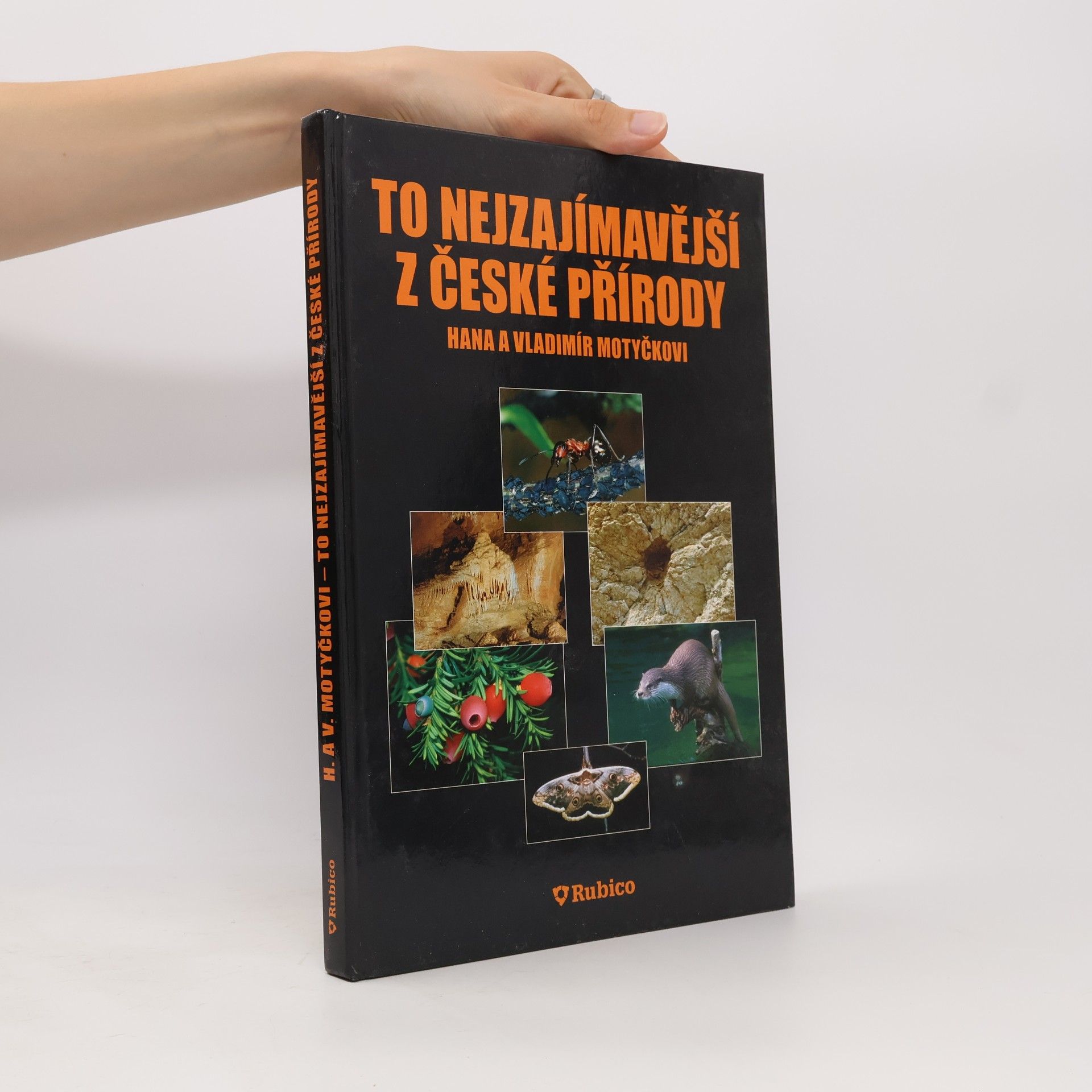 Hana Motyčková To nejzajímavější z české přírody