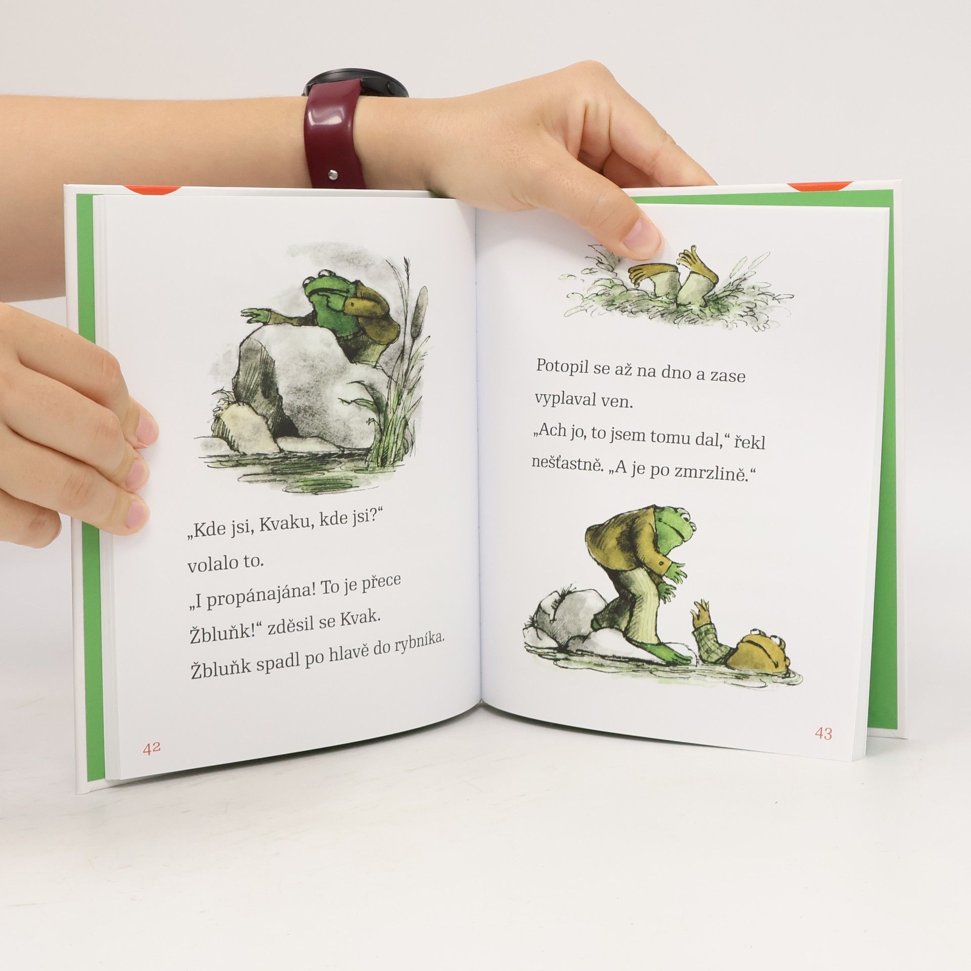 Arnold Lobel Kvak a Žbluňk od jara do Vánoc