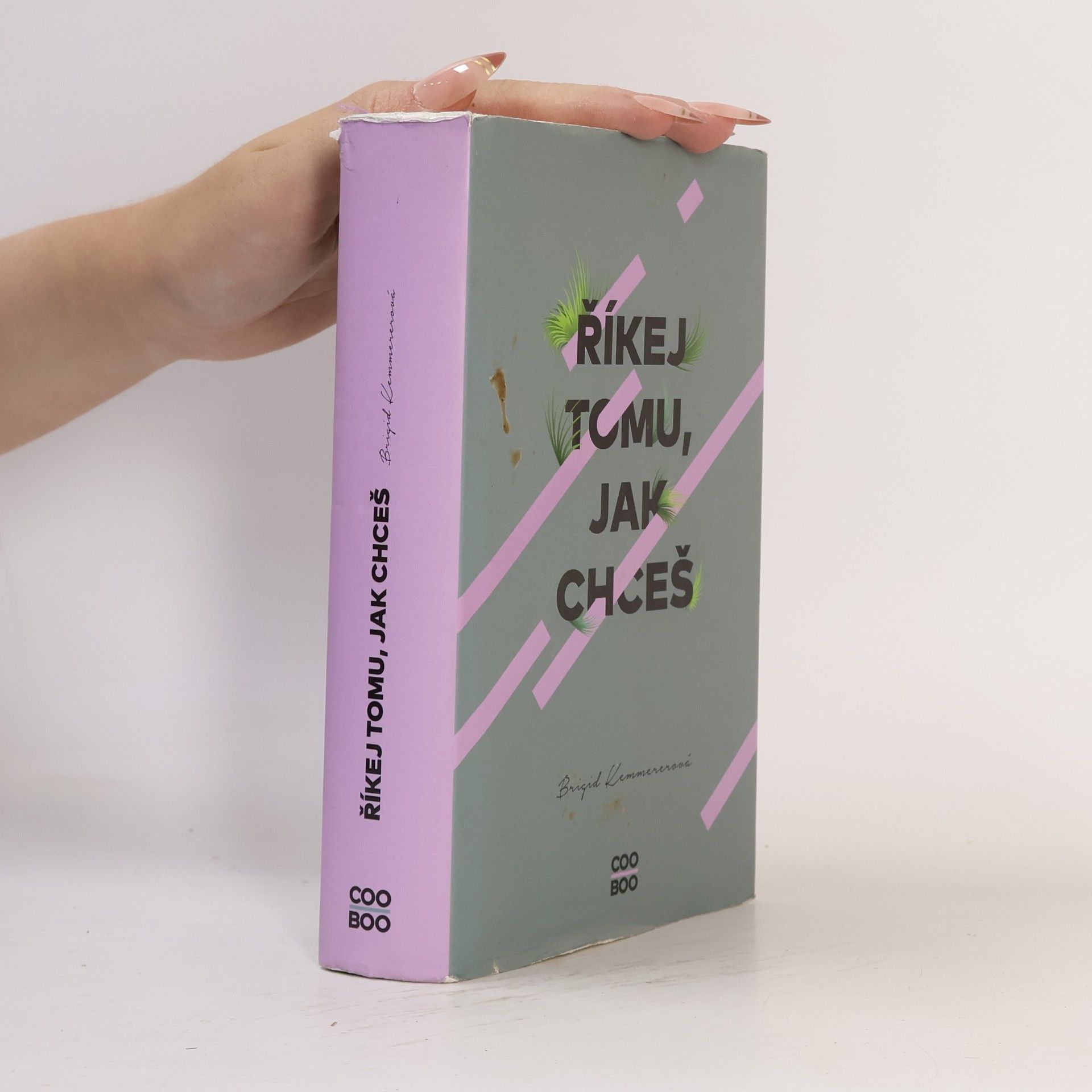 Brigid Kemmerer Říkej tomu, jak chceš