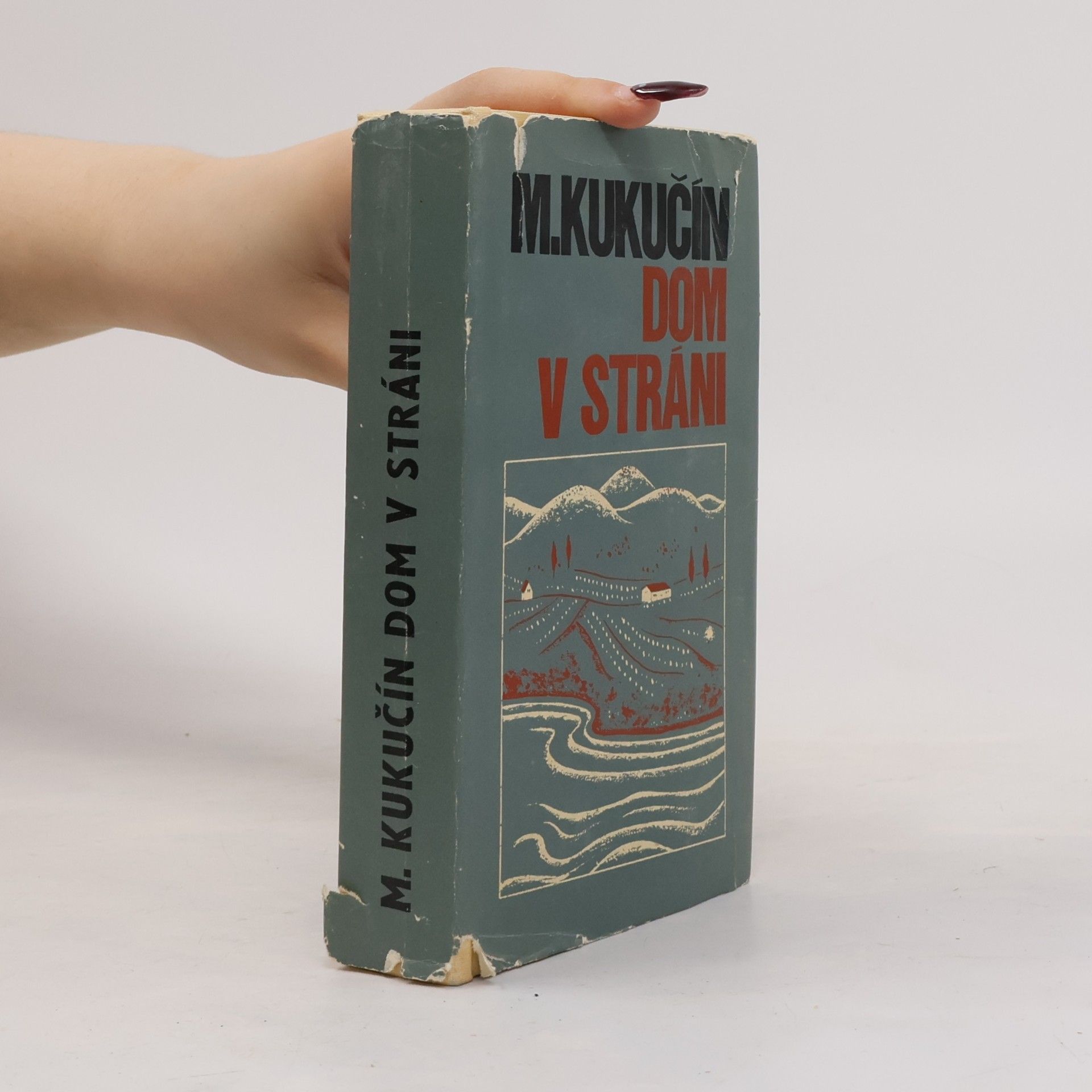 Martin Kukučín Dom v stráni