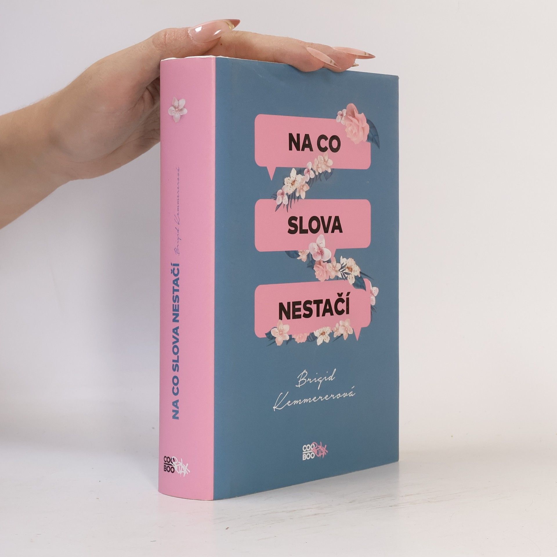 Brigid Kemmerer Na co slova nestačí