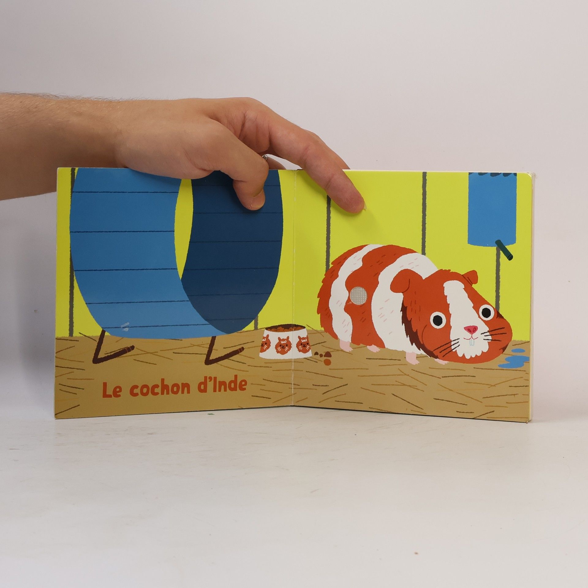 Marion Billet Mes animaux