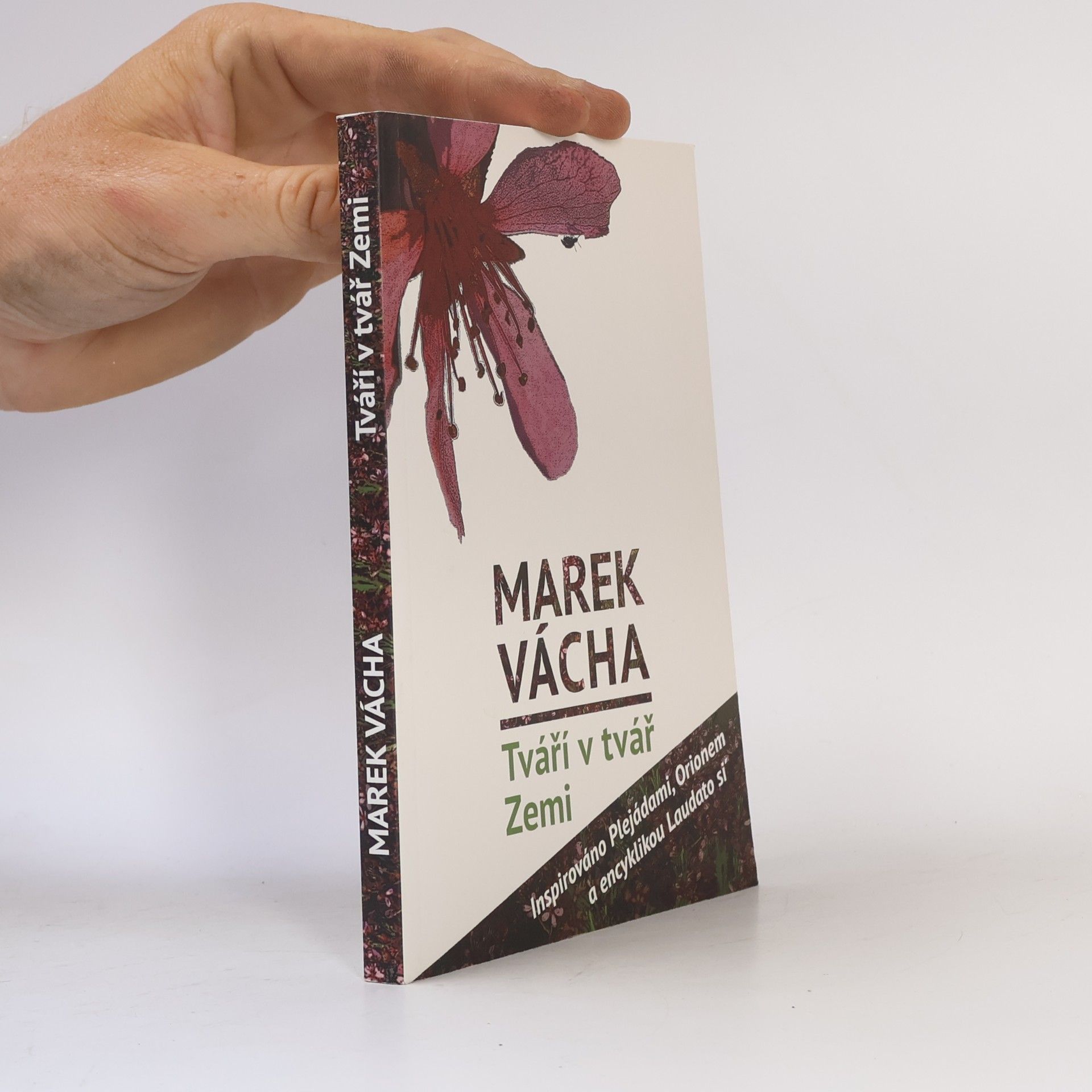 Marek Orko Vácha Tváří v tvář Zemi