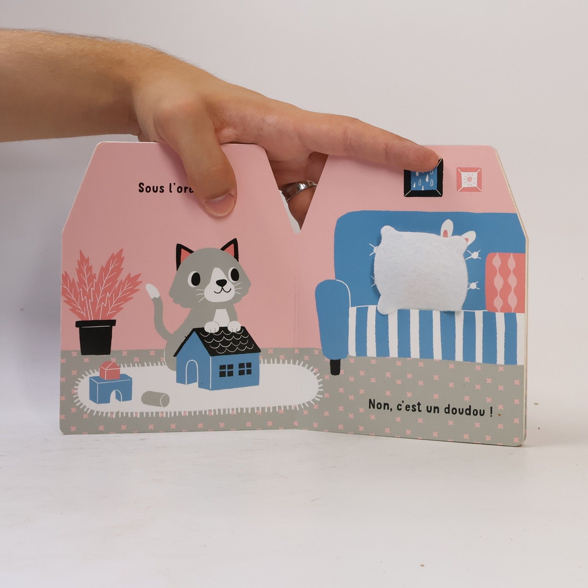 Cache-cache petit chat