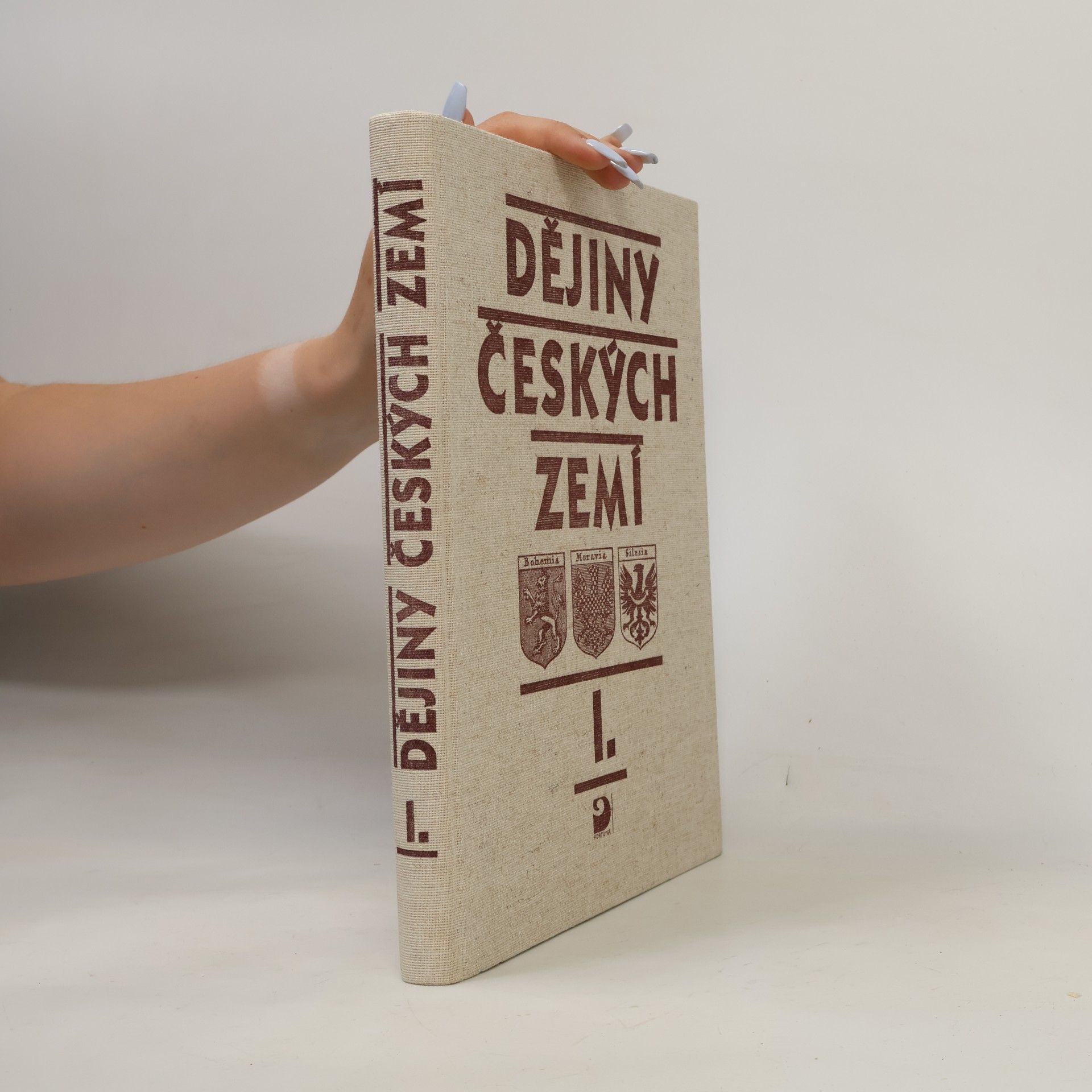 Kolektiv autorů Dějiny českých zemí I