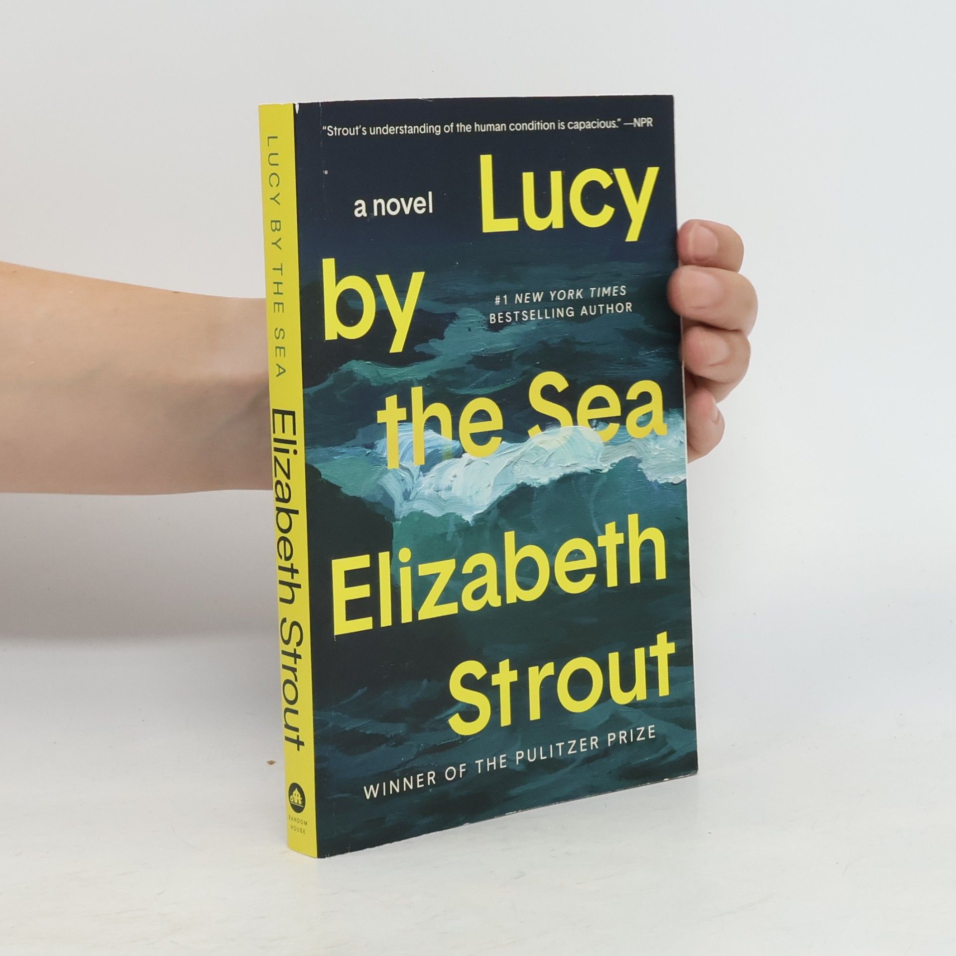 Elizabeth Strout Lucy by the Sea