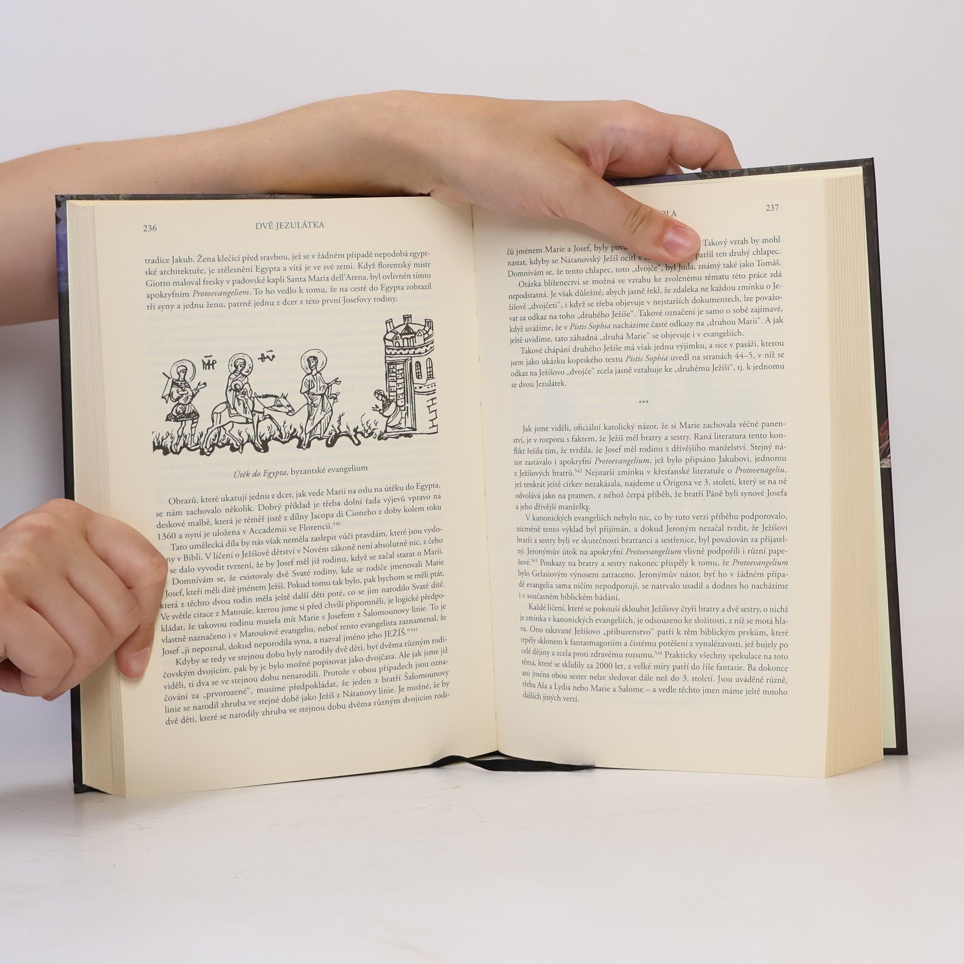David Ovason Dvě Jezulátka. Dva Ježíšové v literatuře a umění