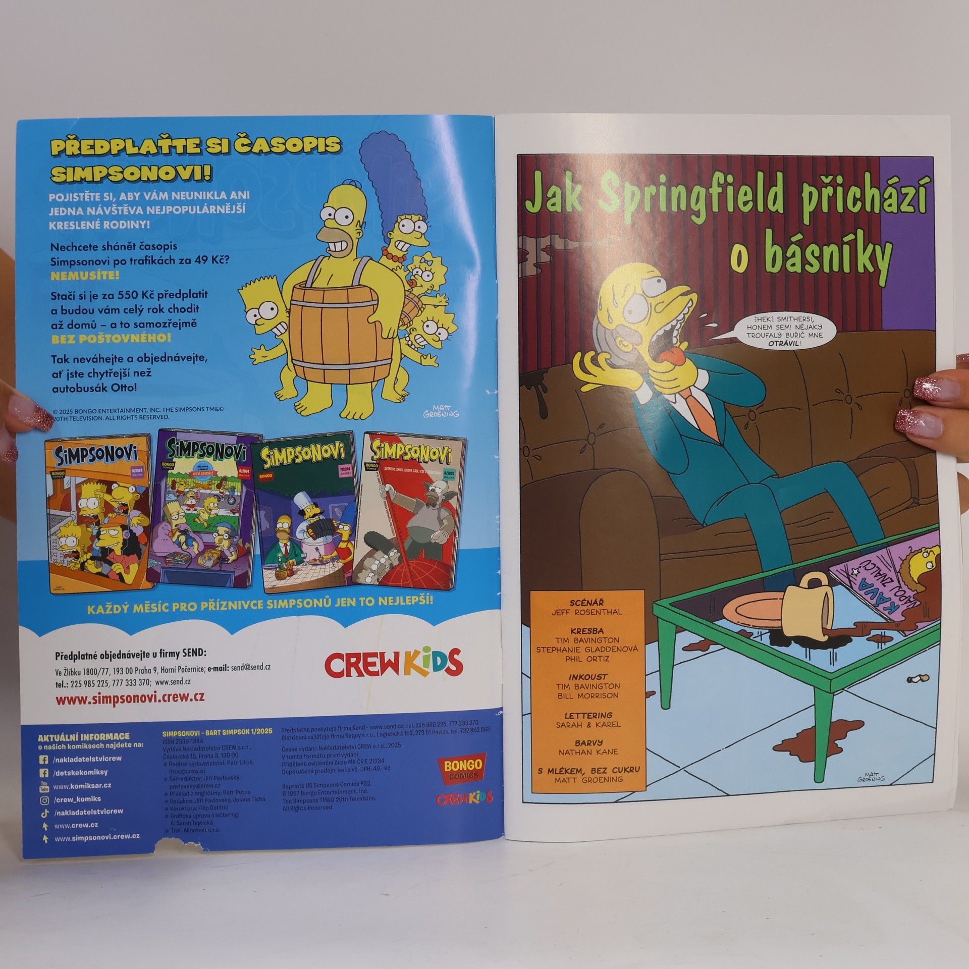 Matt Groening Simpsonovi 1/2025