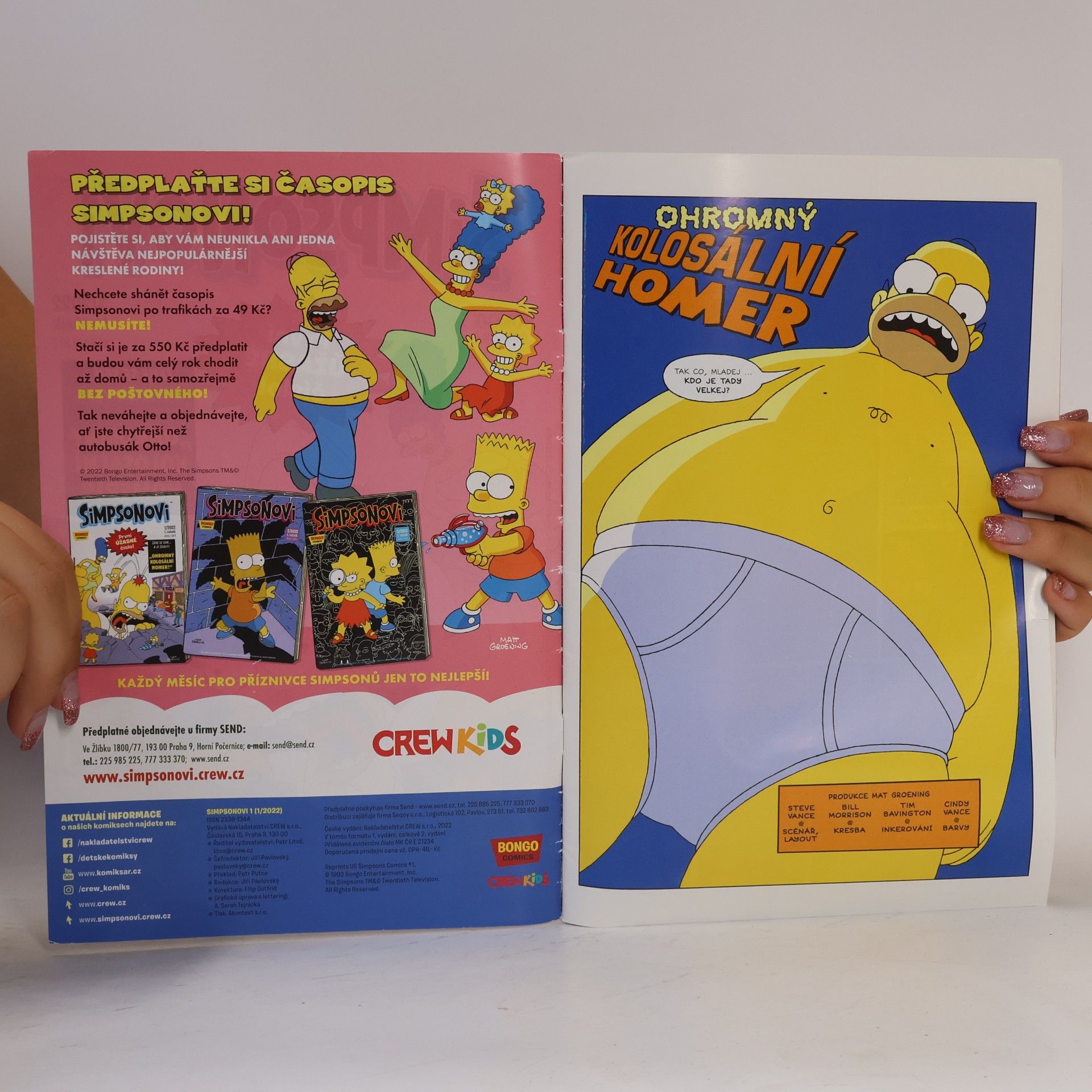 Autorenkollektiv Simpsonovi 1/2022