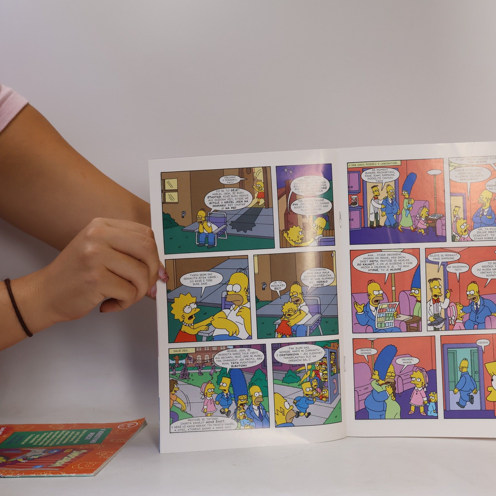 Matt Groening Simpsonovi 7/2024