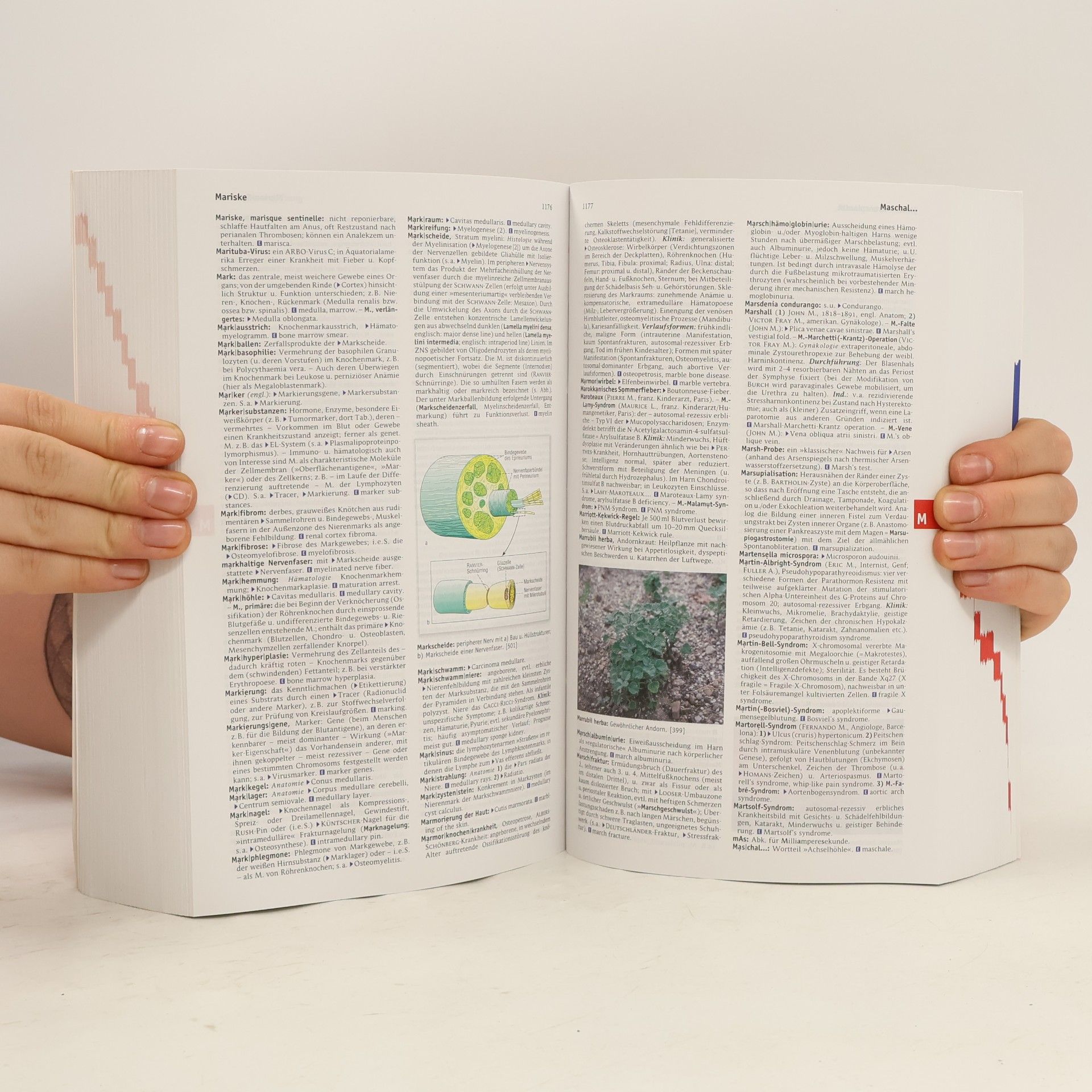 Collectif d'auteurs Roche Lexikon Medizin