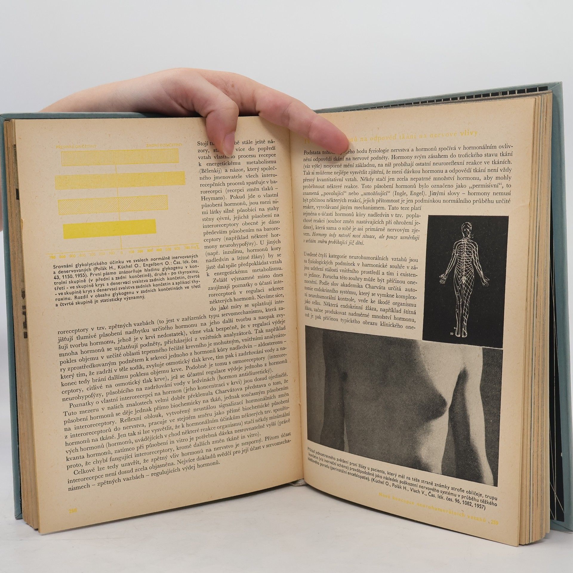 Kolektiv autorů Dvacáté století 1963-1964