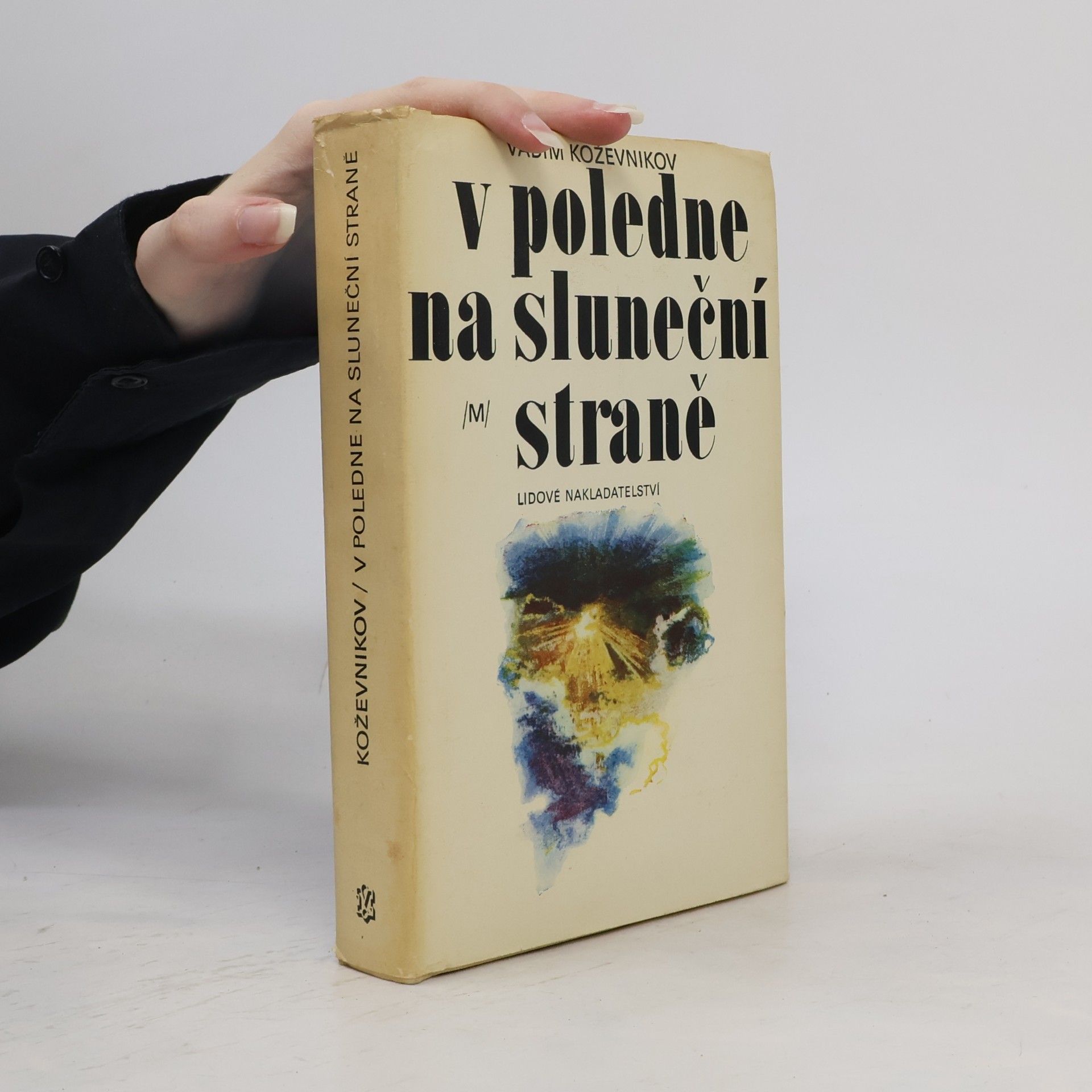 Koževnikov Vadim V poledne na sluneční straně