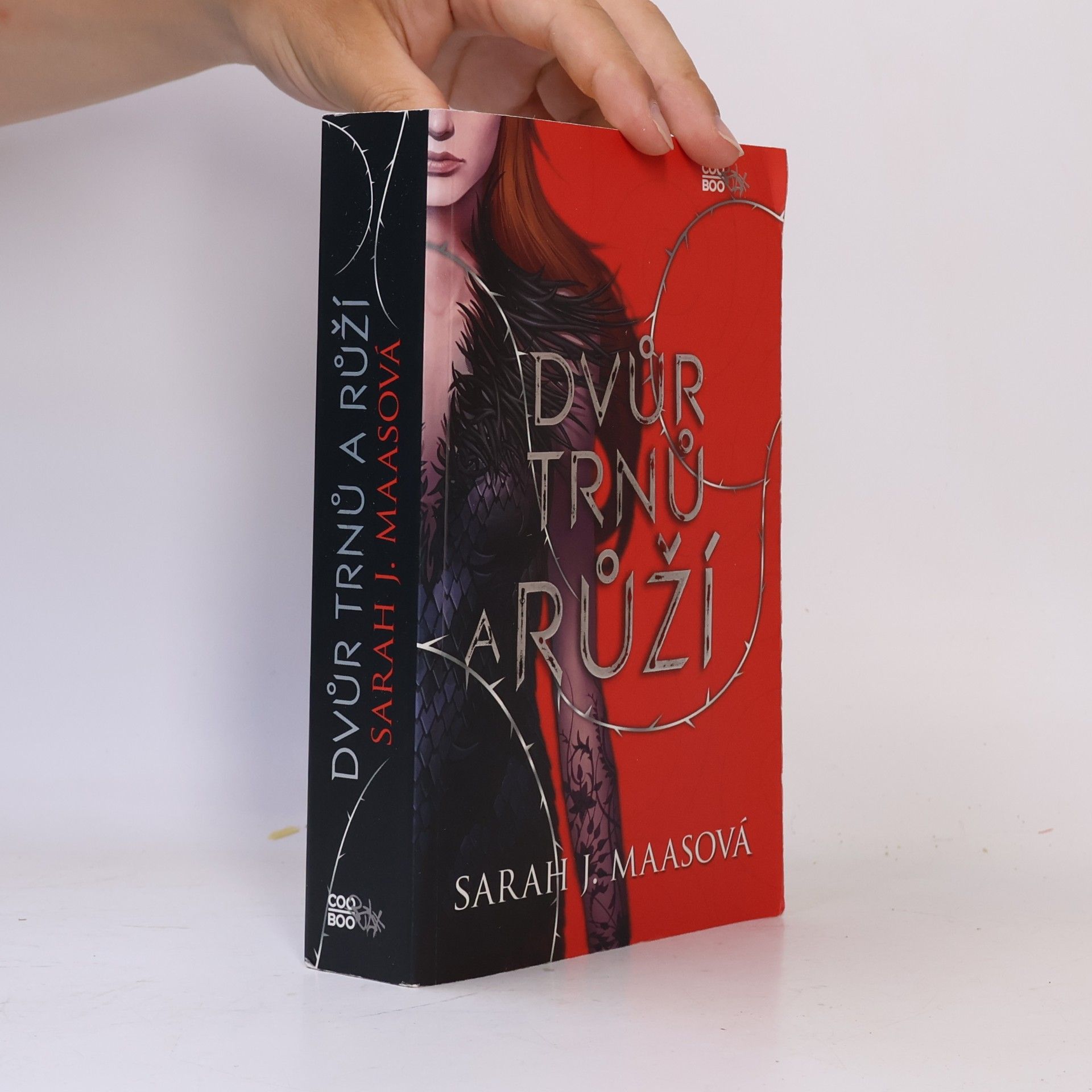 Sarah J. Maas Dvůr trnů a růží