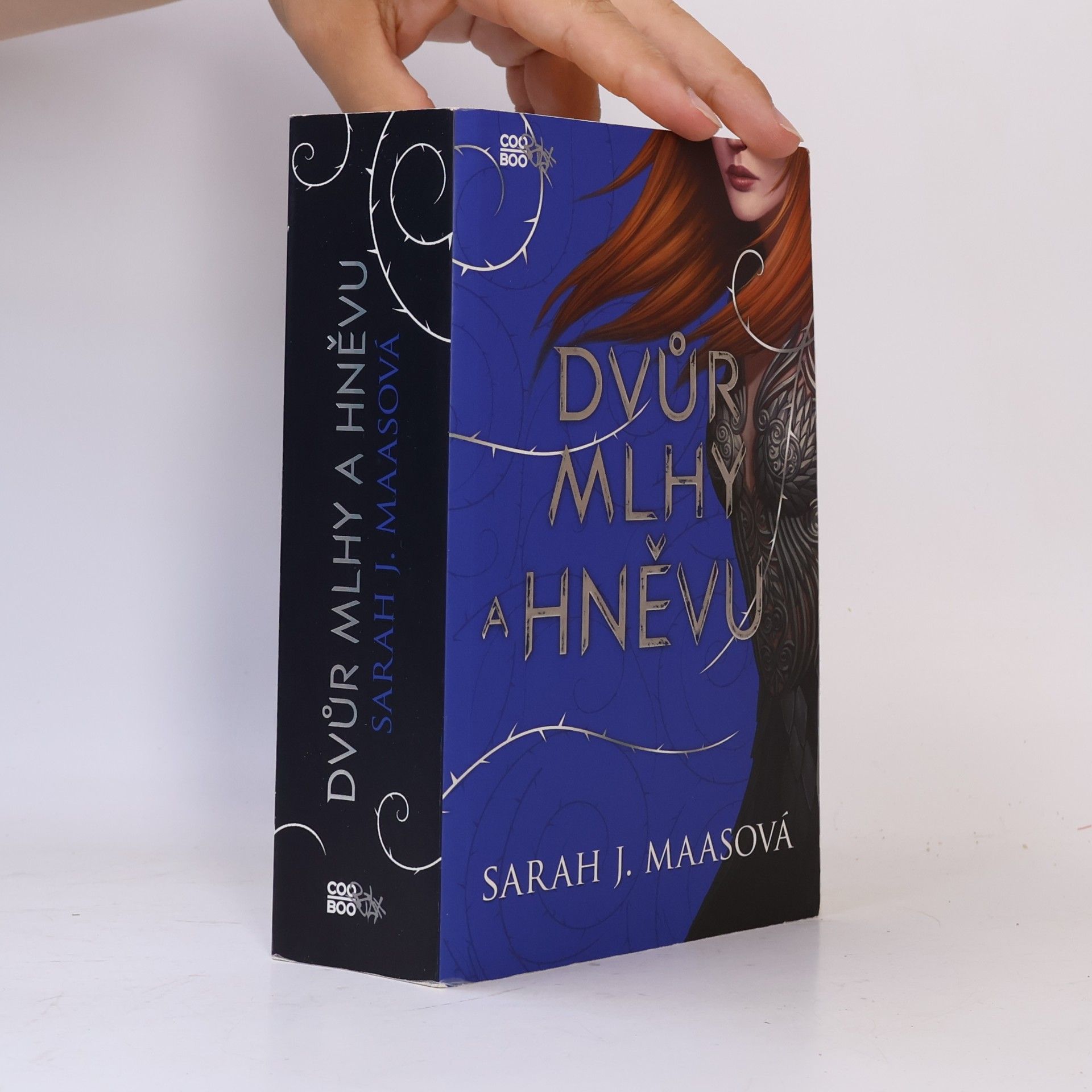 Sarah J. Maas Dvůr mlhy a hněvu