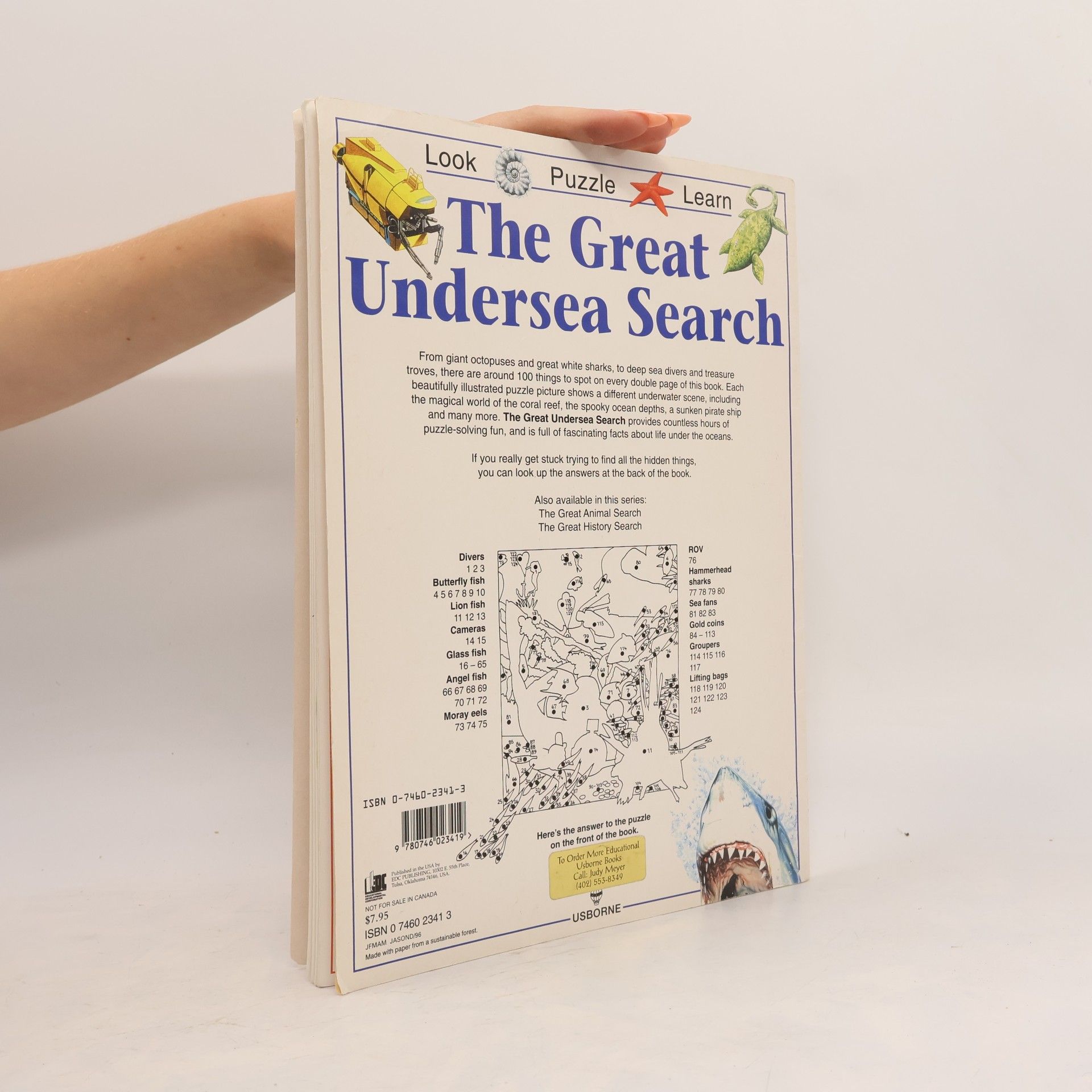 Kate Needham The Great Undersea Search