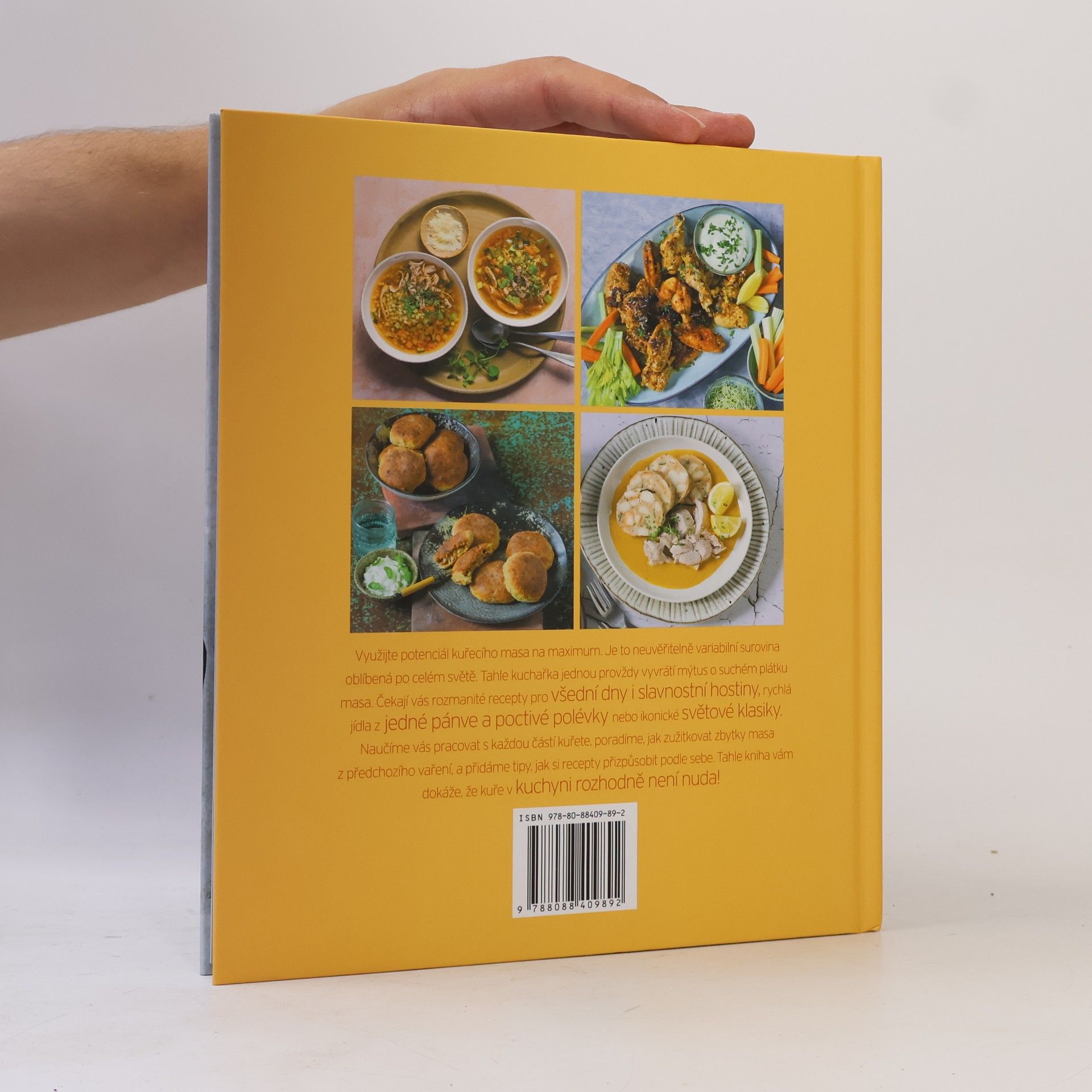 Thermomix chef Kuře 48