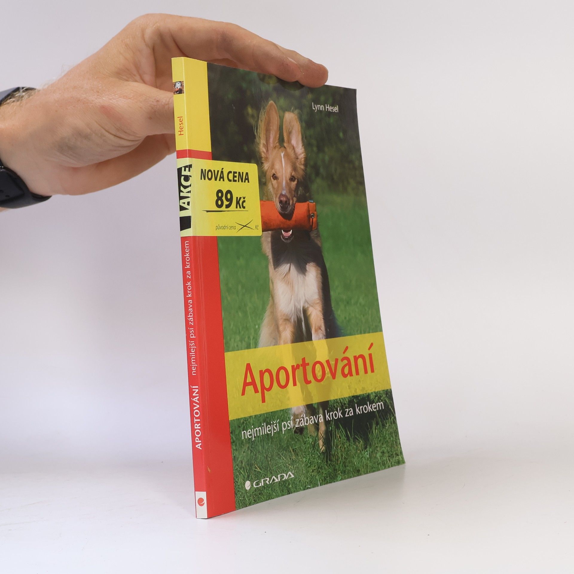 Lynn Hesel Aportování