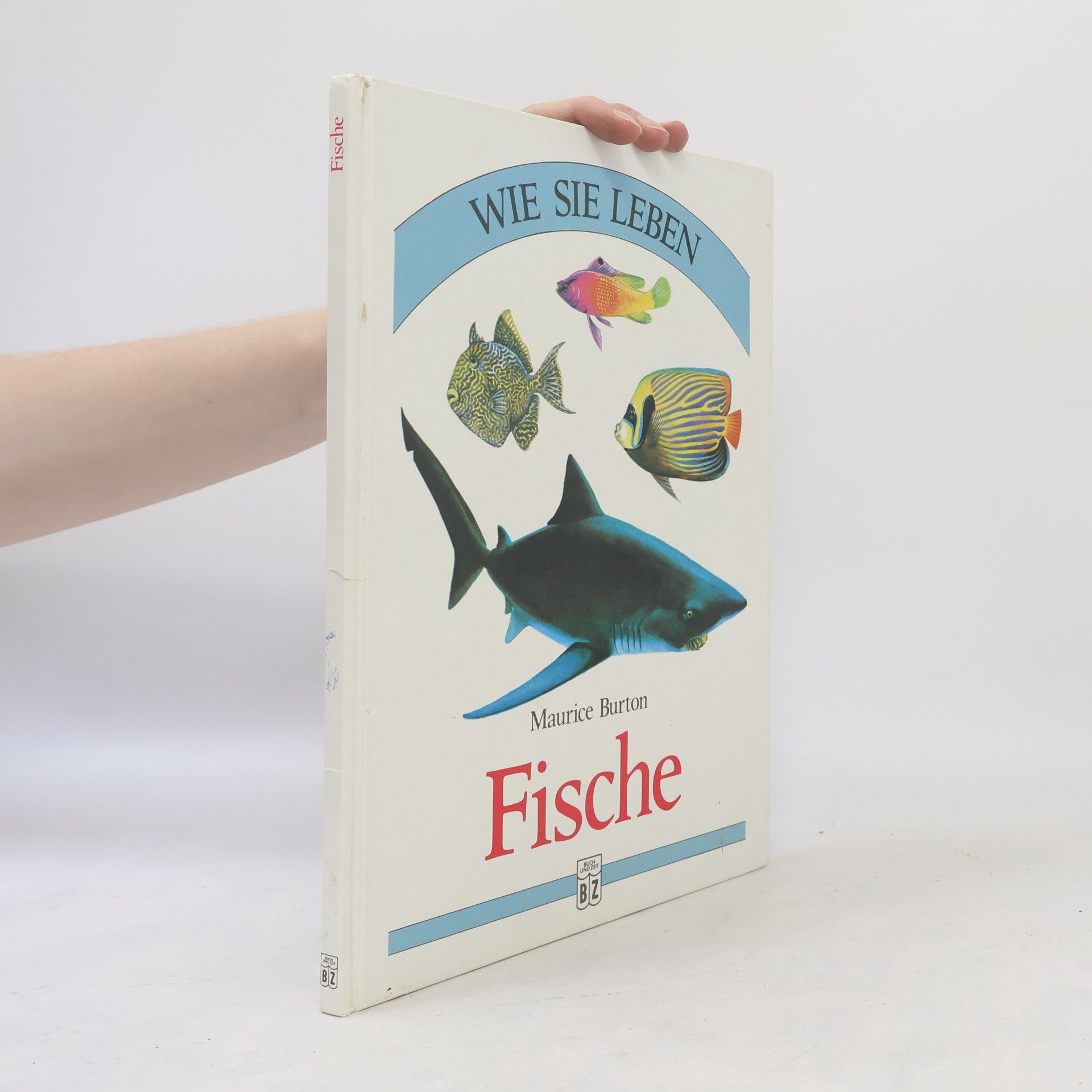 Maurice Burton Fische