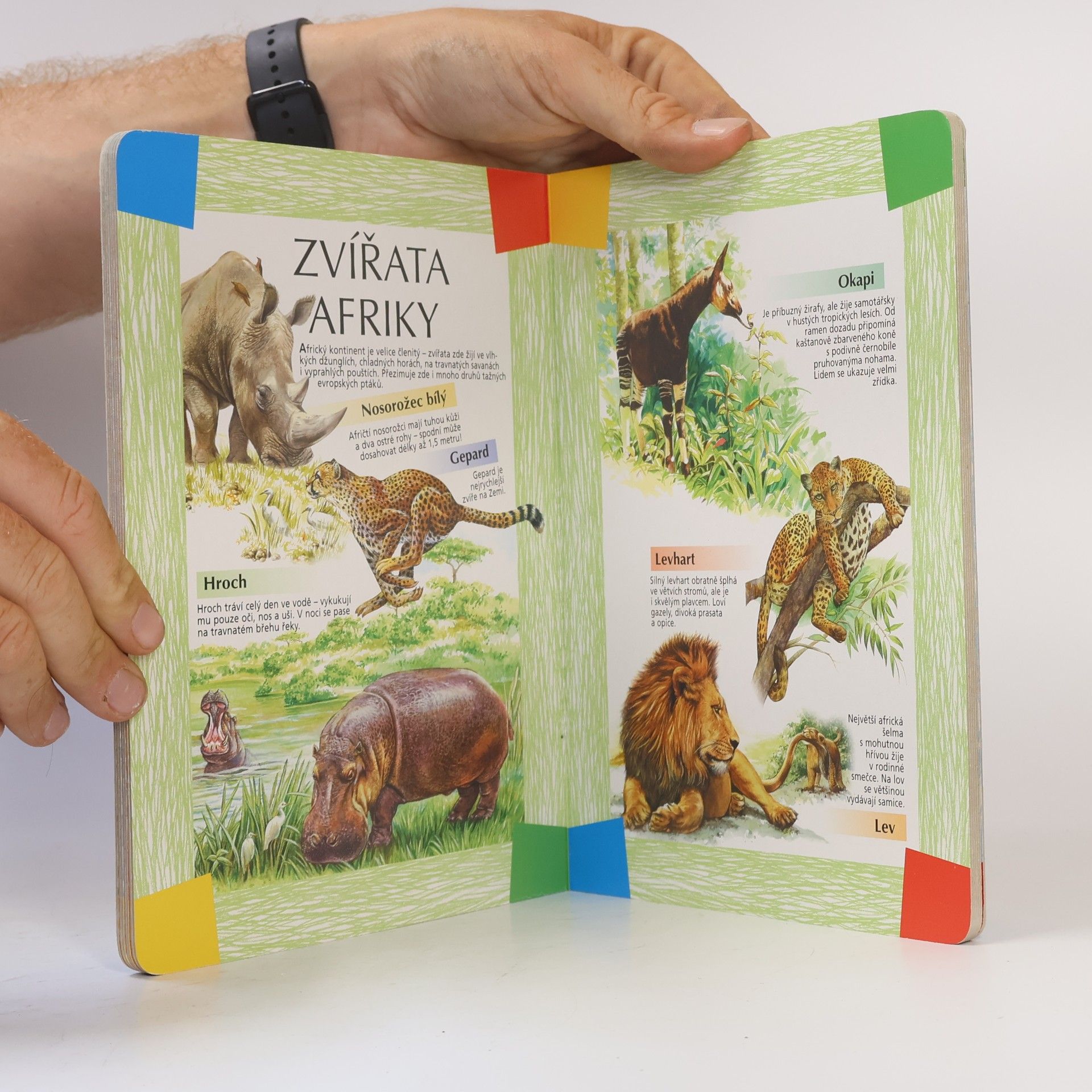 Auteurscollectief Můj první atlas zvířat