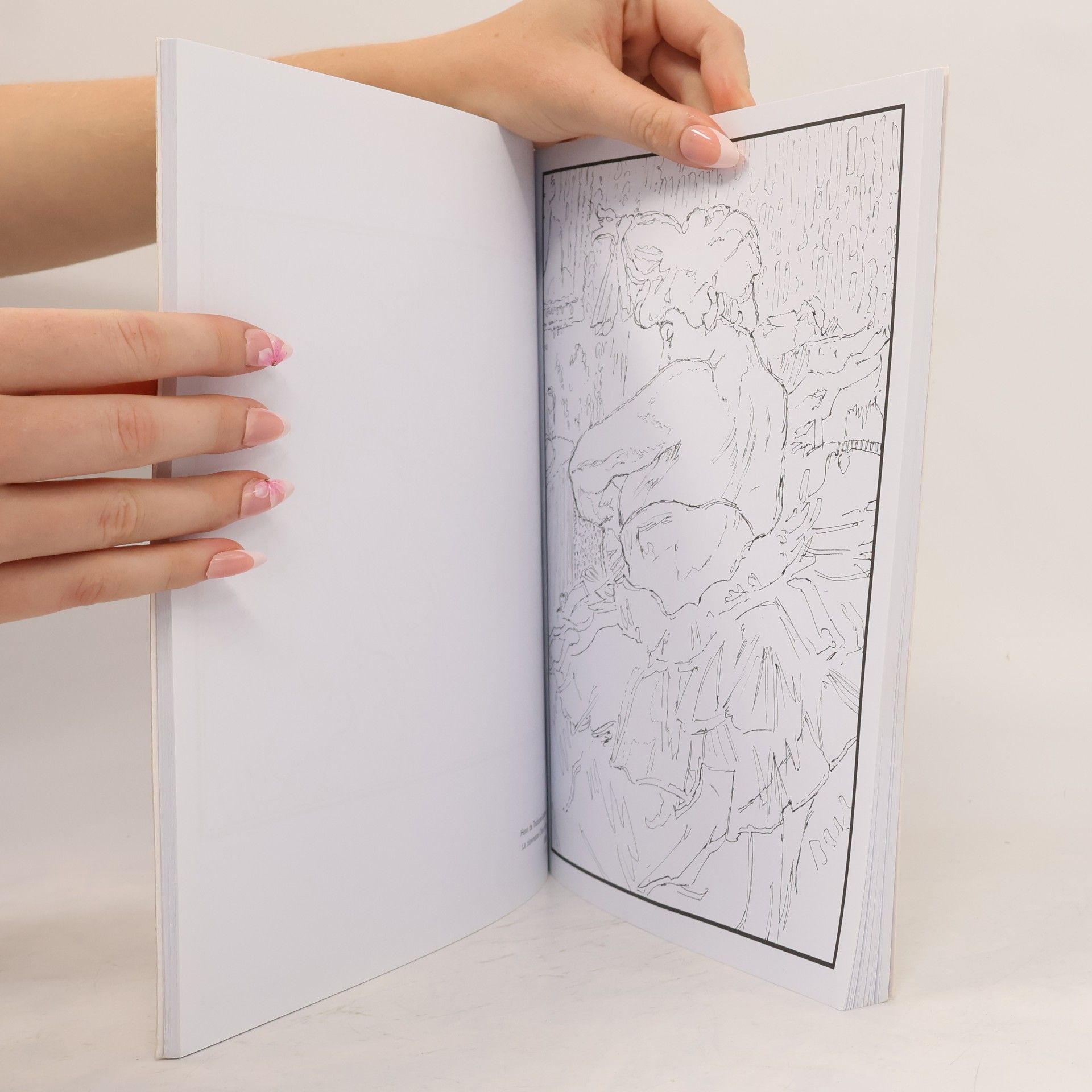 Arcturus Publishing Impressionist Coloring Book